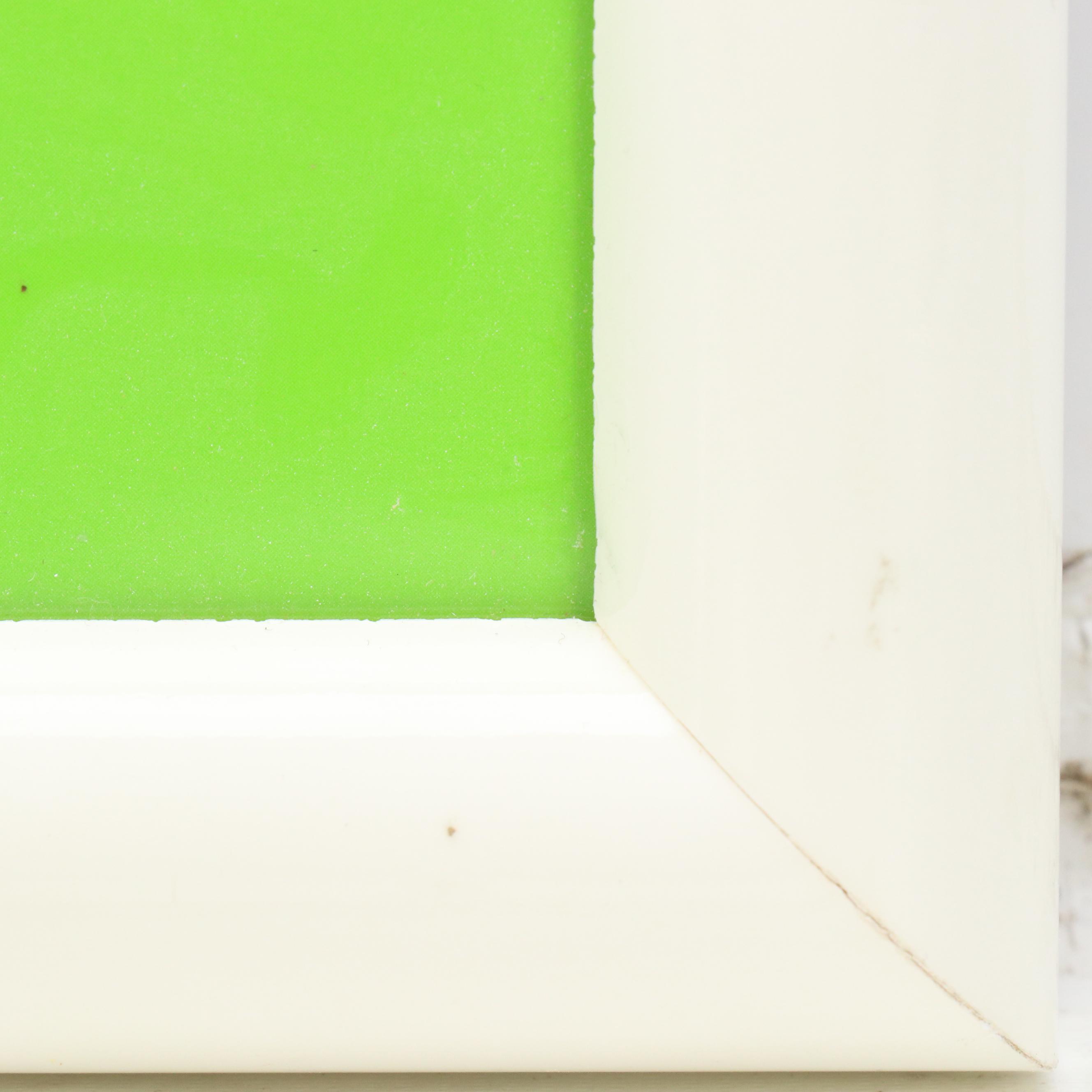 The Disney Store "Flubber" Commemorative Lenticular Print