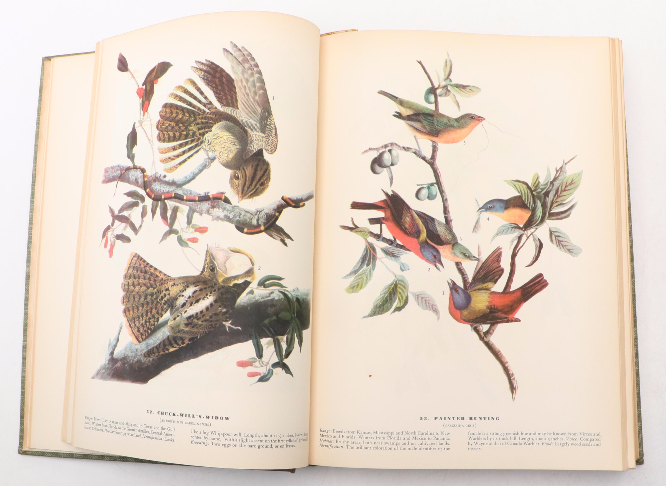First Edition "The Birds of America" by John James Audubon, 1937
