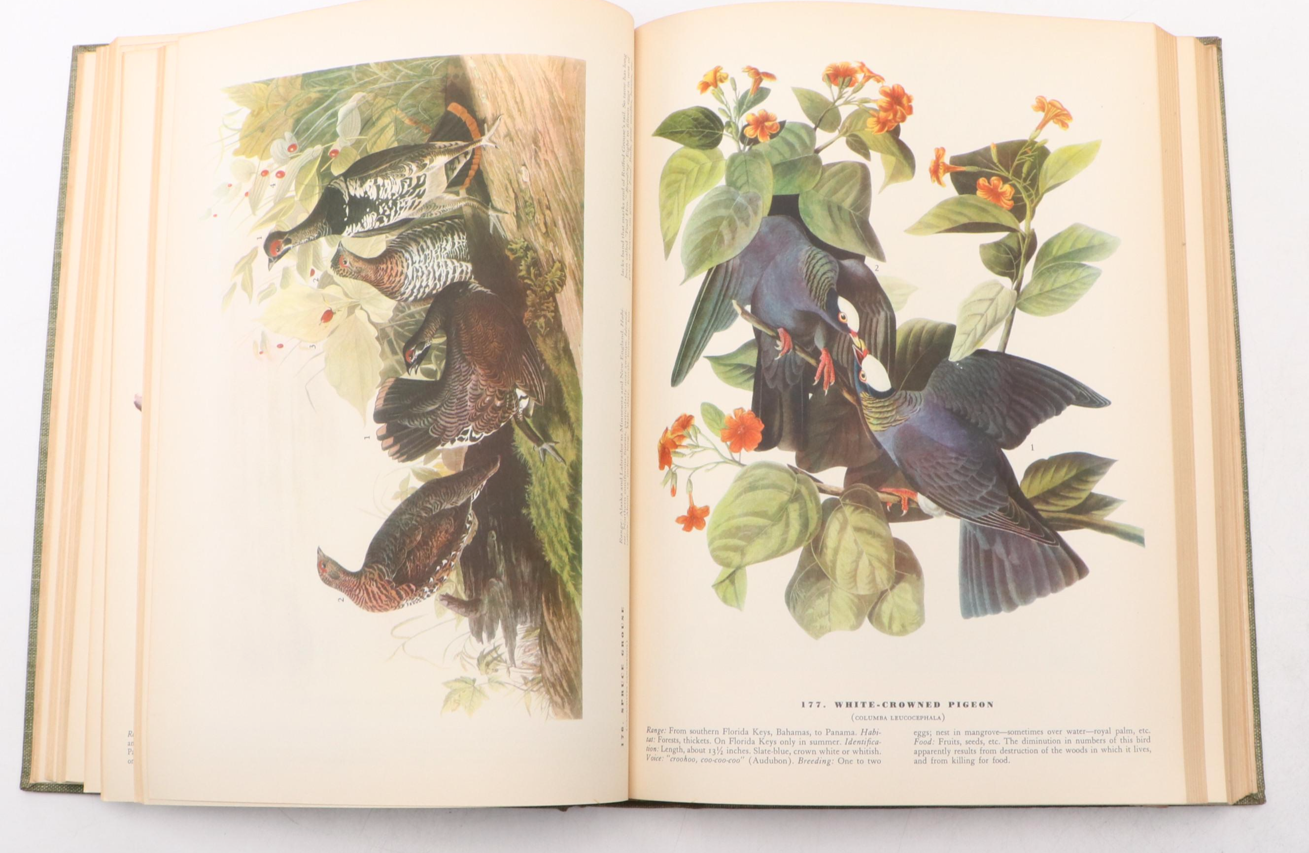 First Edition "The Birds of America" by John James Audubon, 1937