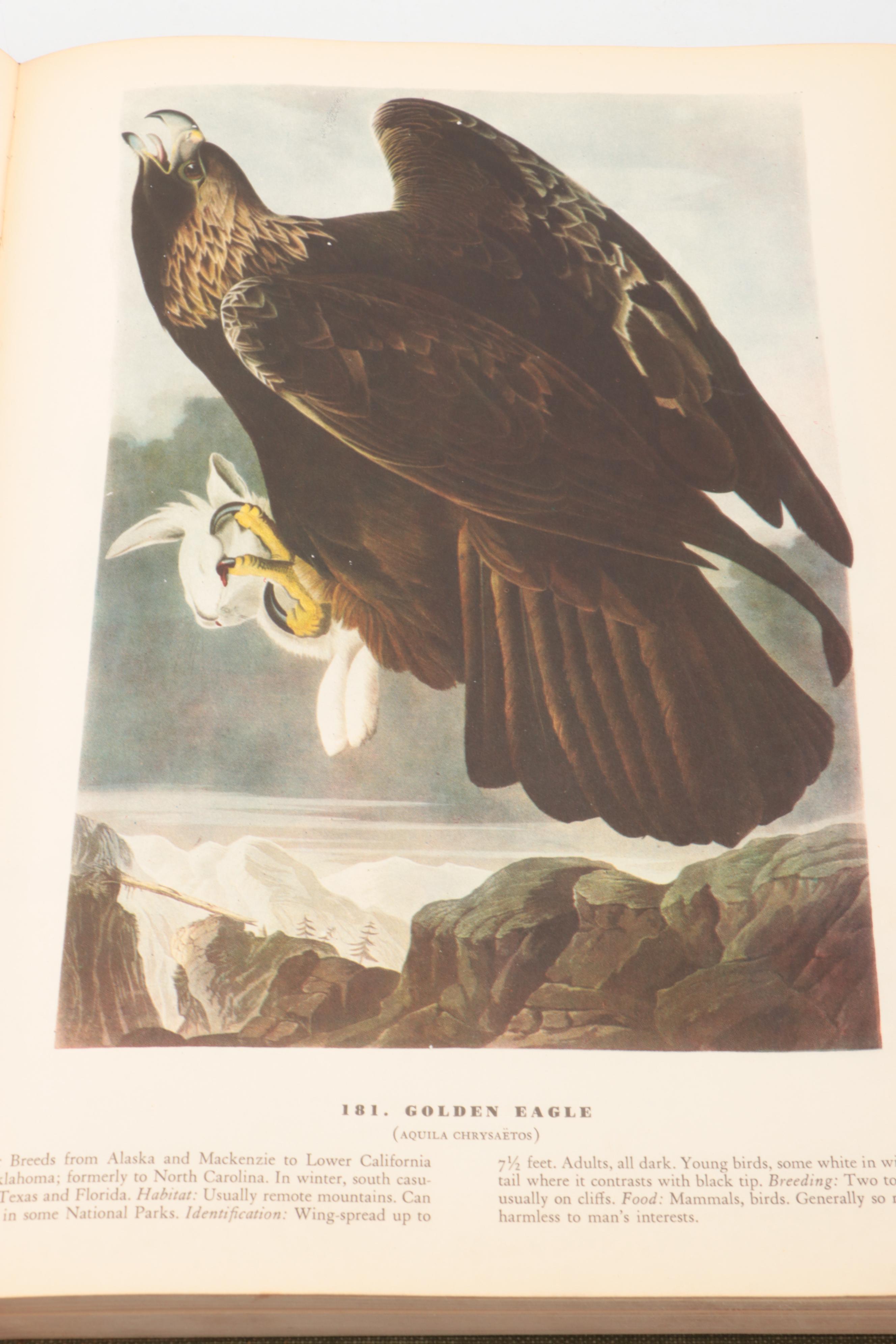 First Edition "The Birds of America" by John James Audubon, 1937