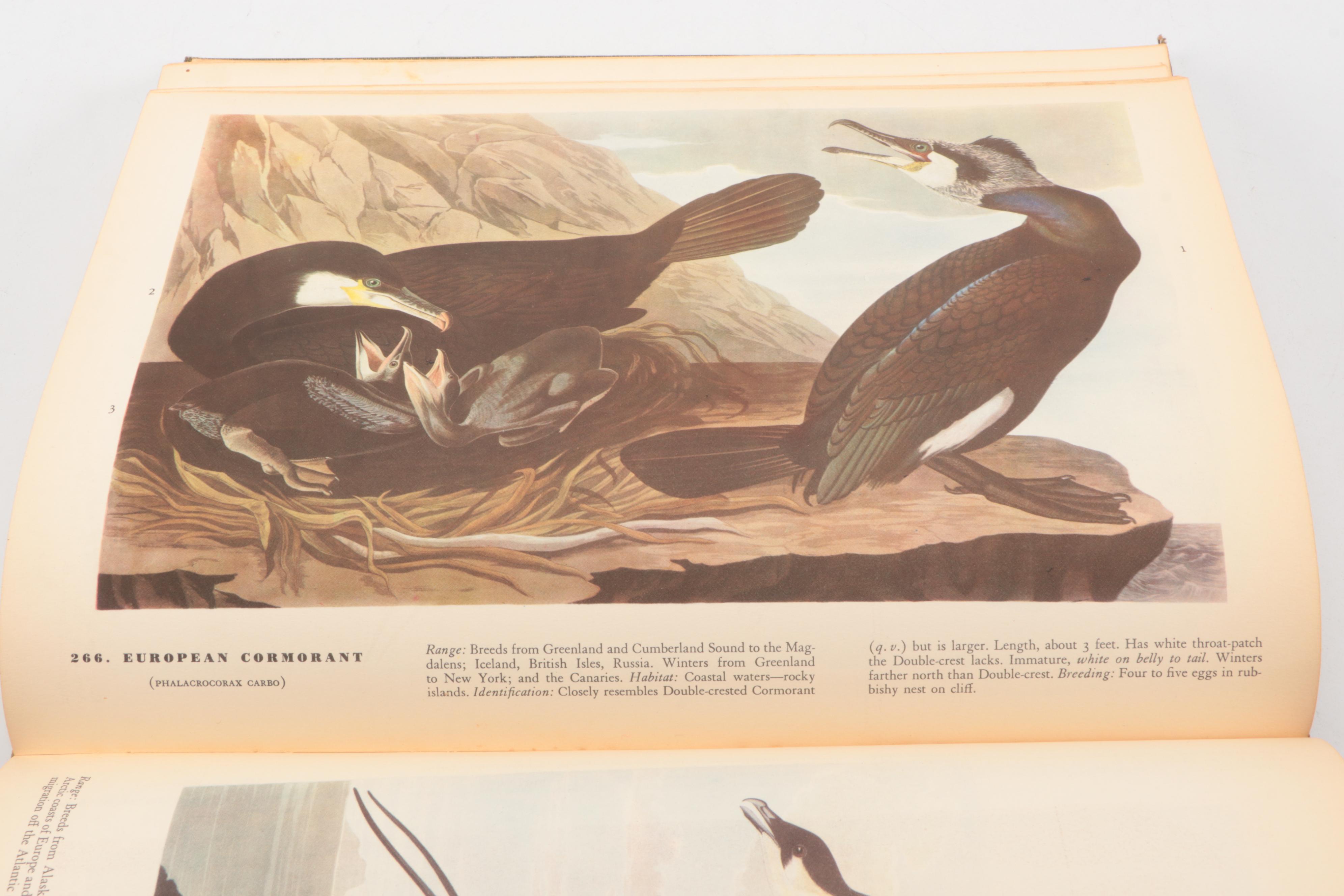 First Edition "The Birds of America" by John James Audubon, 1937