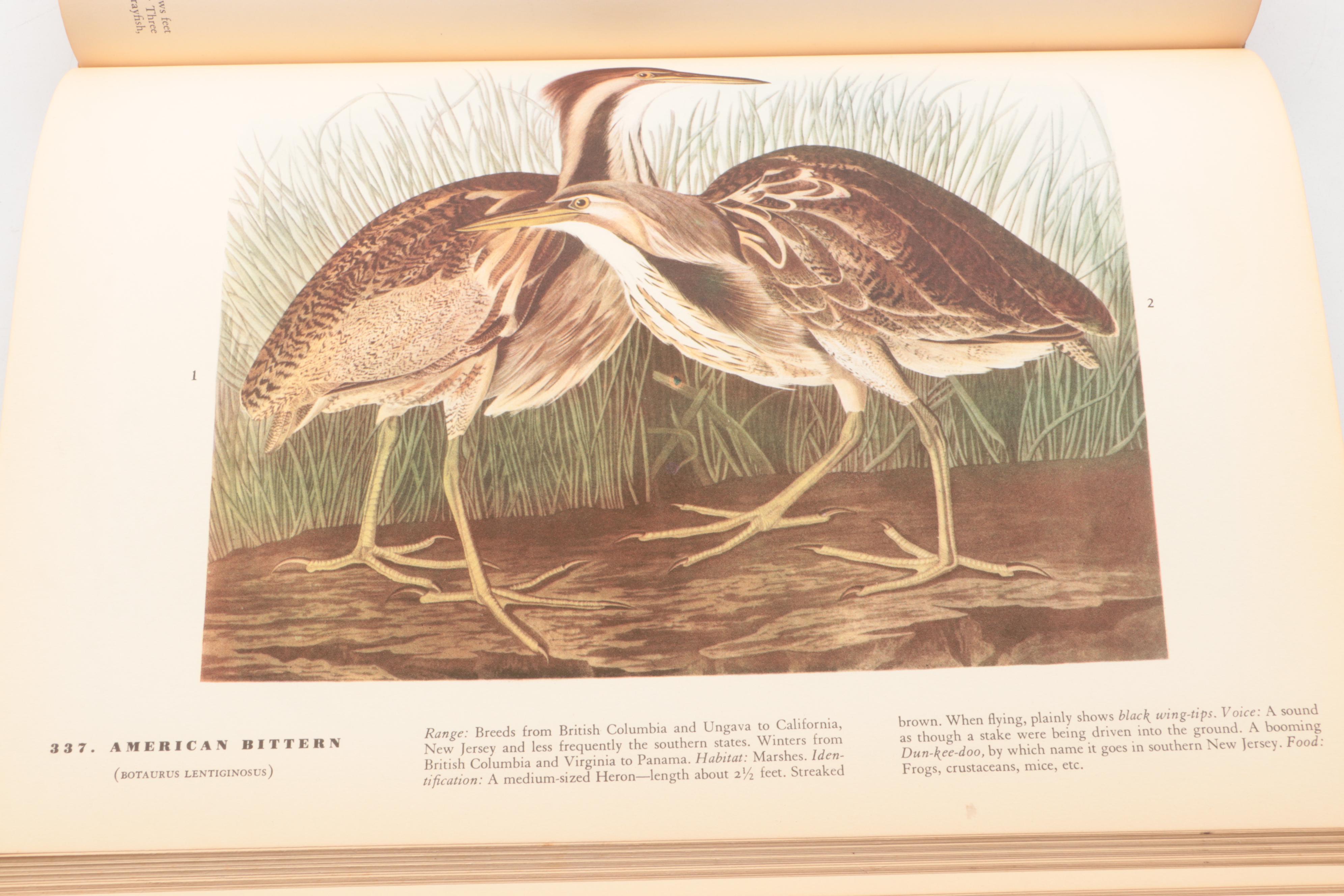 First Edition "The Birds of America" by John James Audubon, 1937
