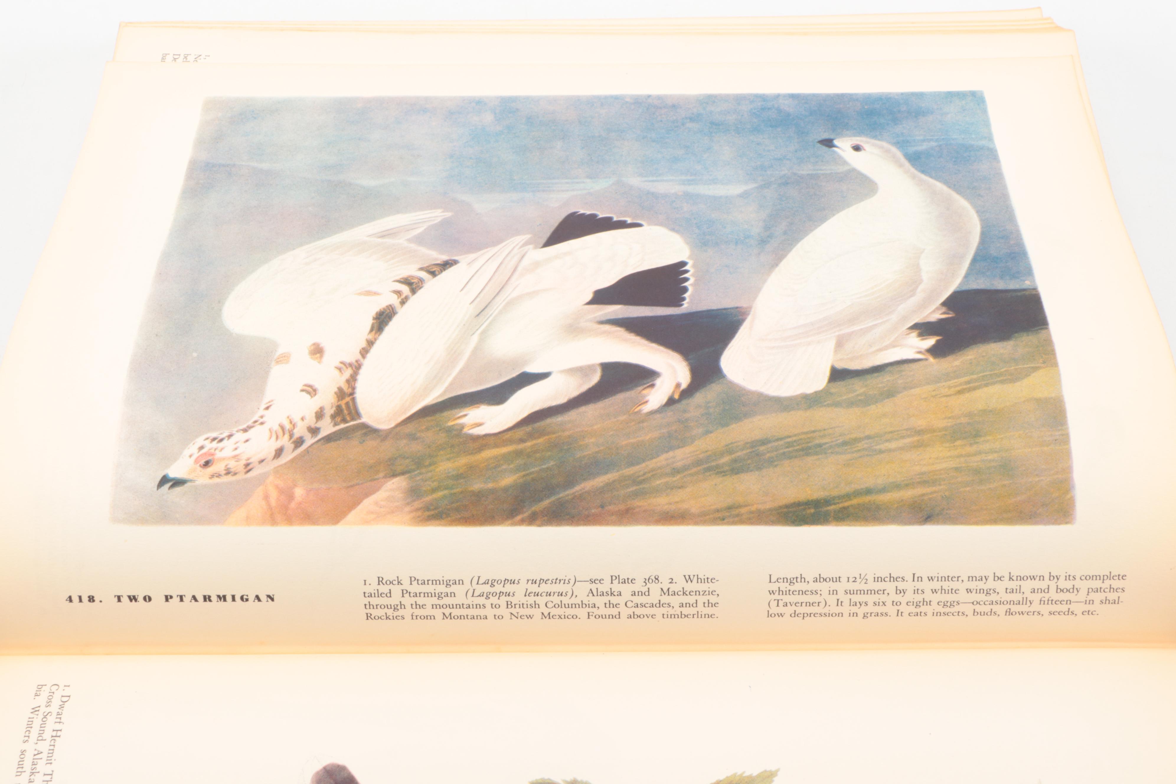First Edition "The Birds of America" by John James Audubon, 1937