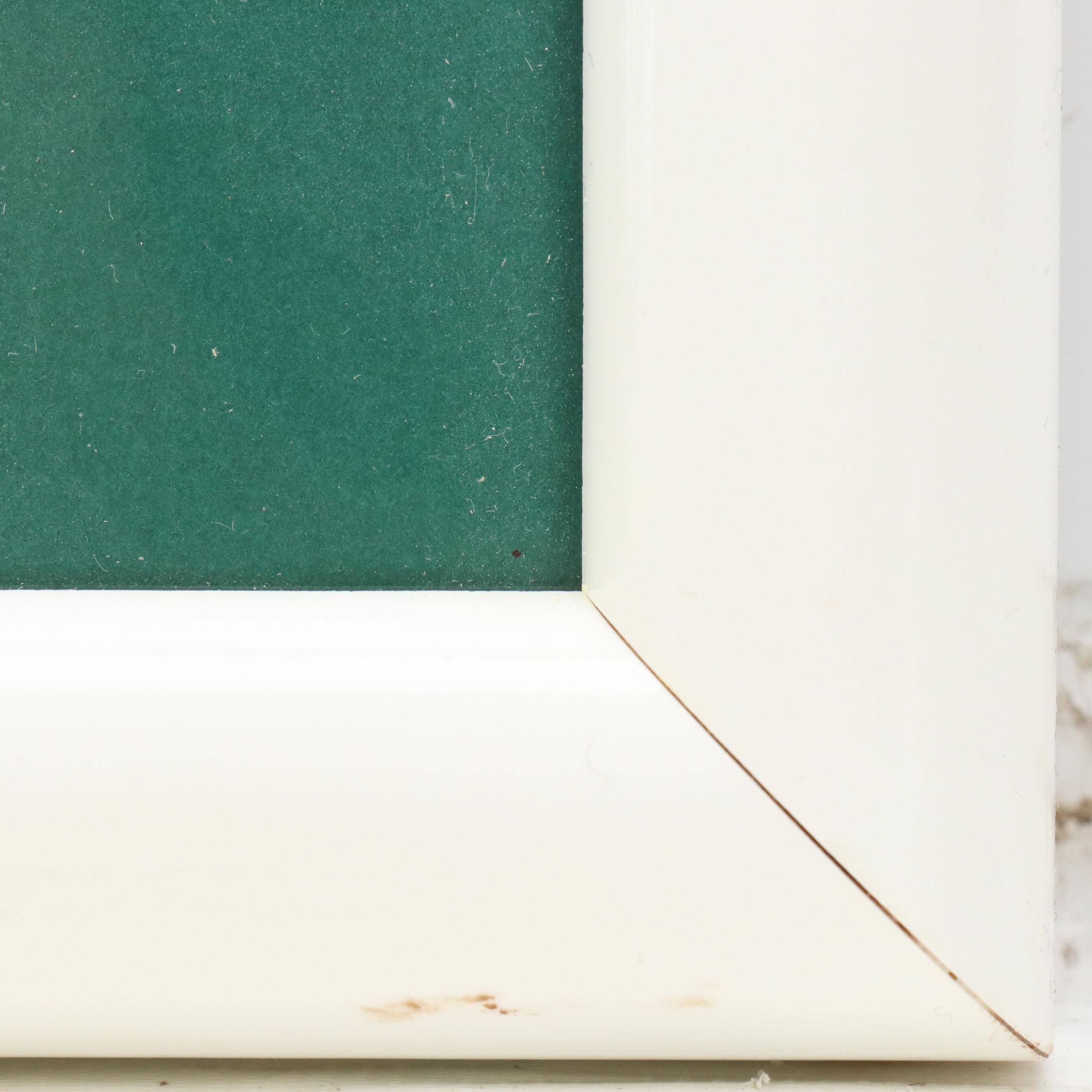 Disney Store Commemorative Offset Lithograph of "The Fox and the Hound," 1994