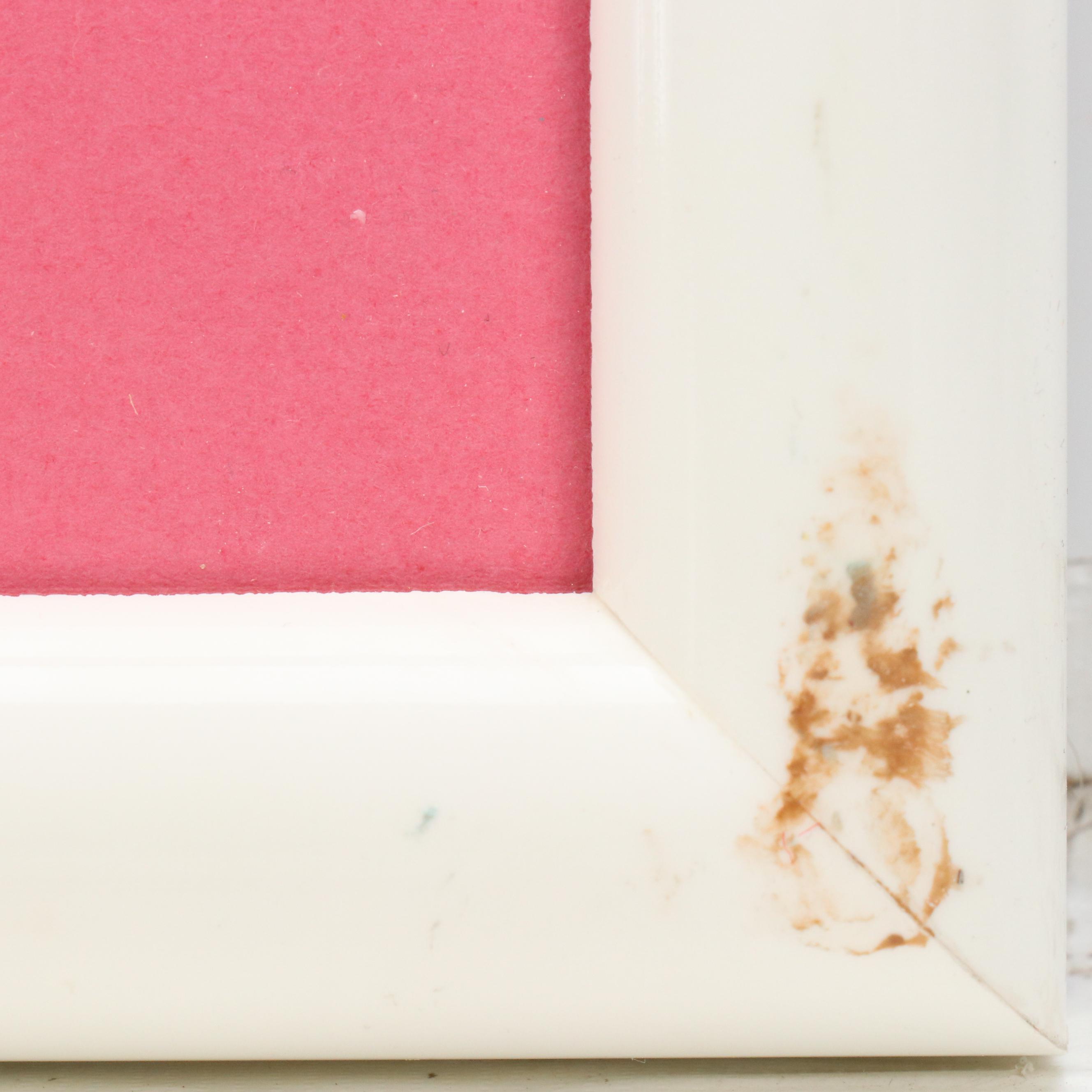 Disney Store Commemorative Offset Lithograph of "The Hunchback of Notre Dame"