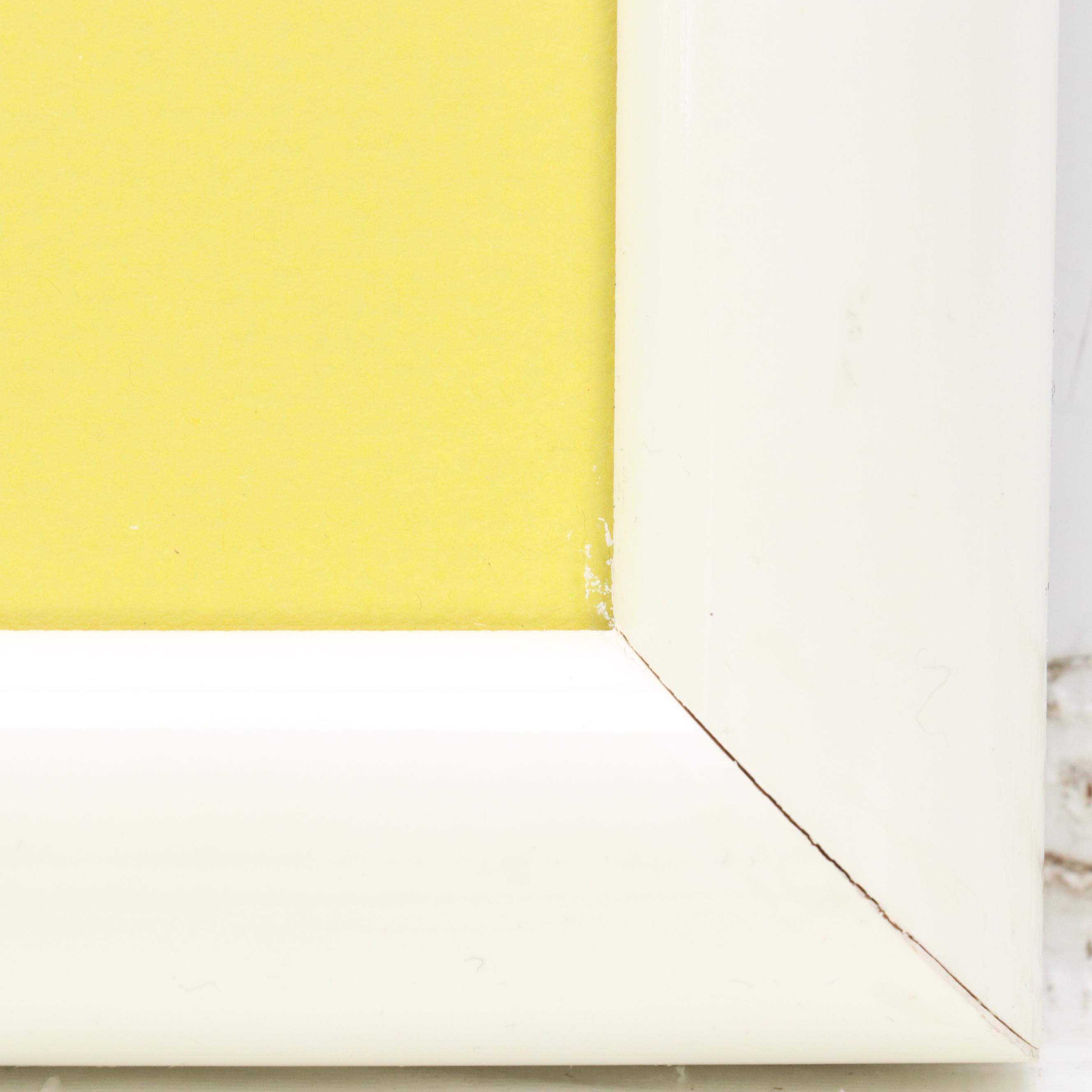 The Disney Store Commemorative Offset Lithograph of "Aladdin," 1996