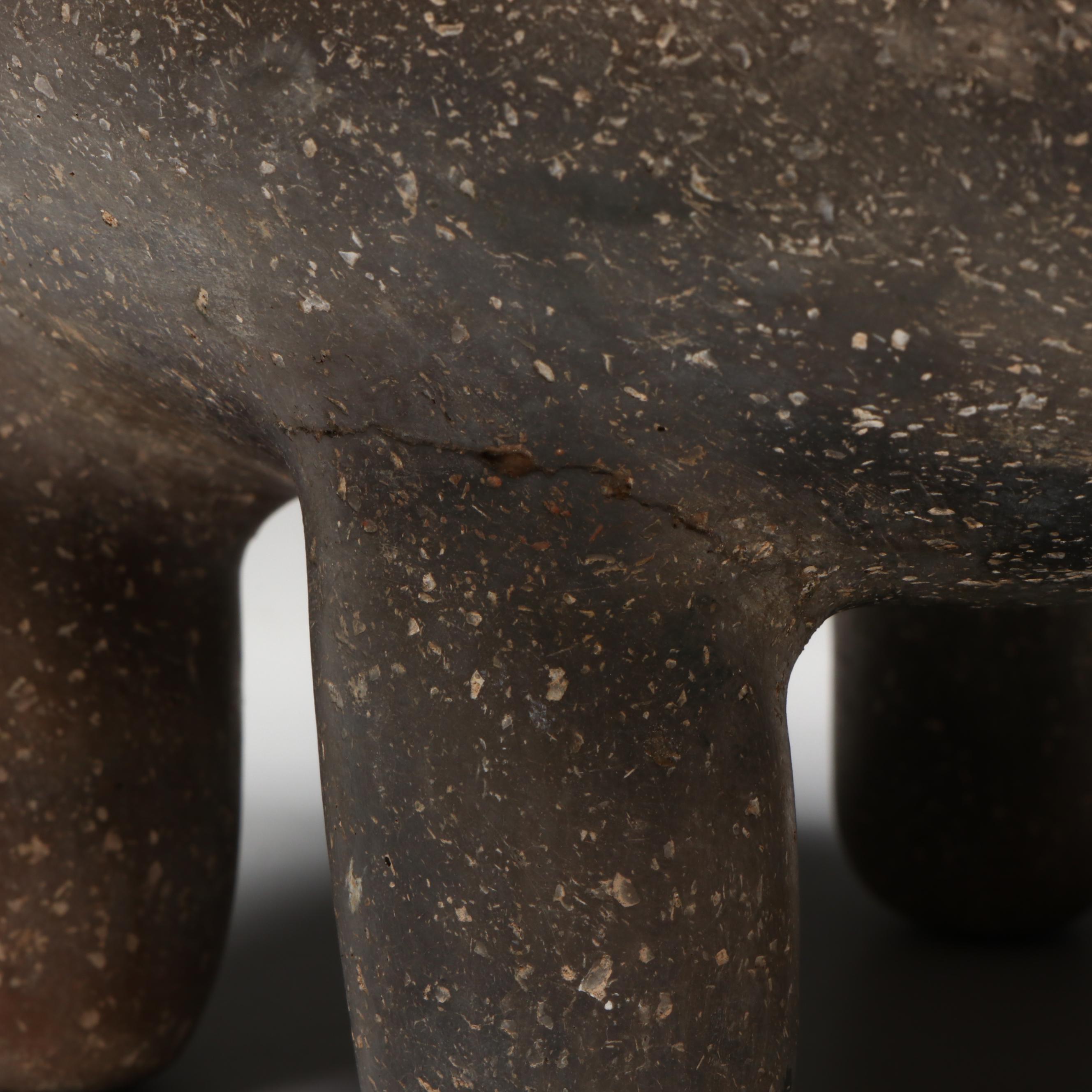 Pre-Columbian Cat Form Vessel