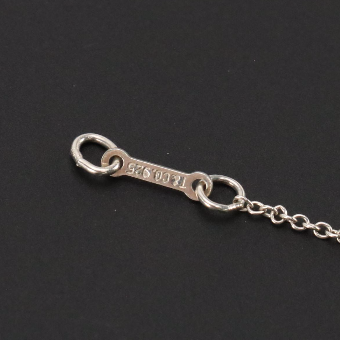 Elsa Peretti for Tiffany & Co. Sterling Teardrop Necklace in Box