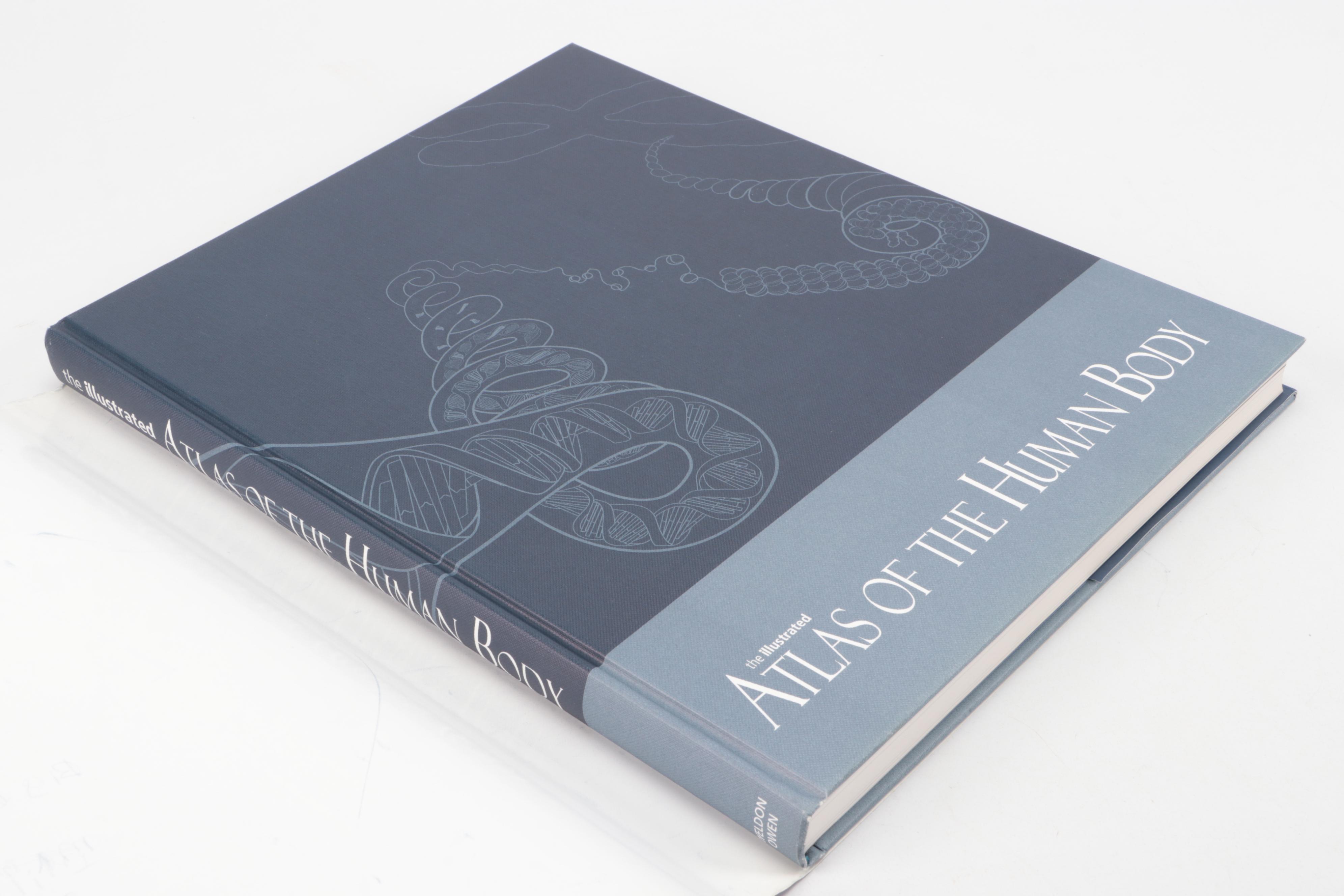 "The Illustrated Atlas of the Human Body" by Beverly McMillan, 2008