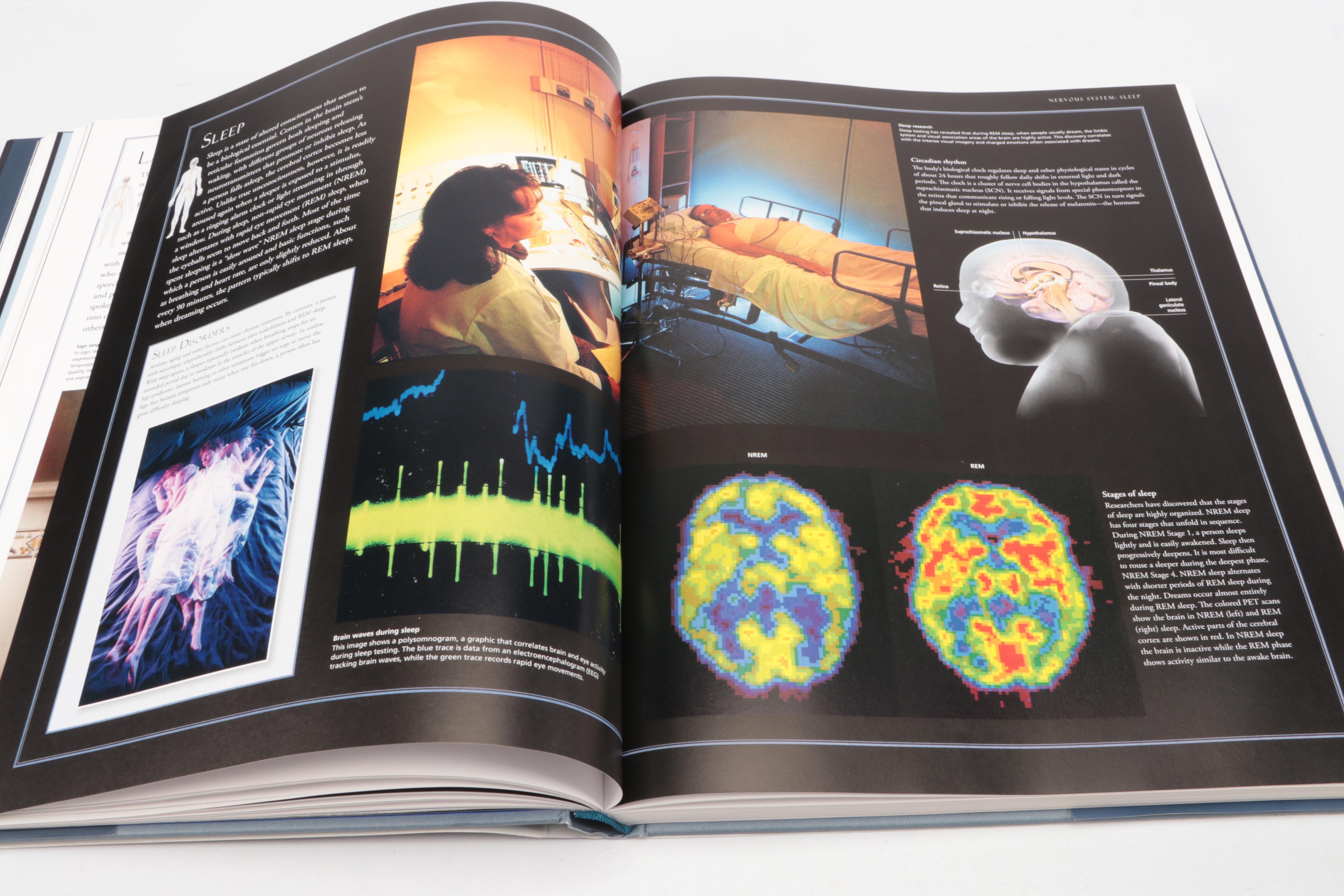 "The Illustrated Atlas of the Human Body" by Beverly McMillan, 2008