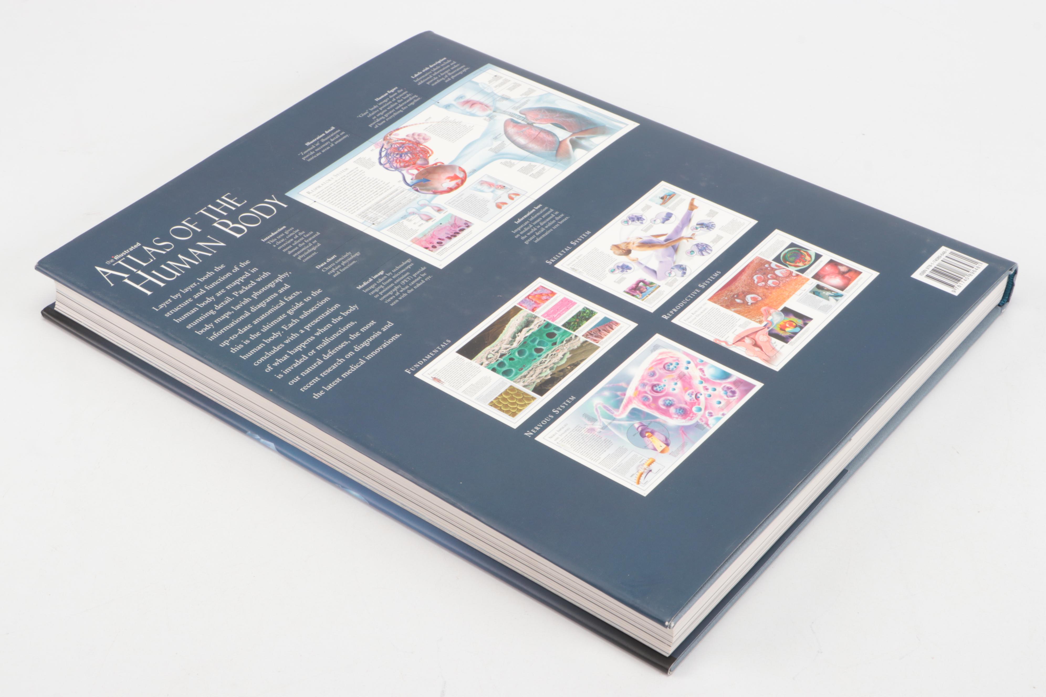"The Illustrated Atlas of the Human Body" by Beverly McMillan, 2008