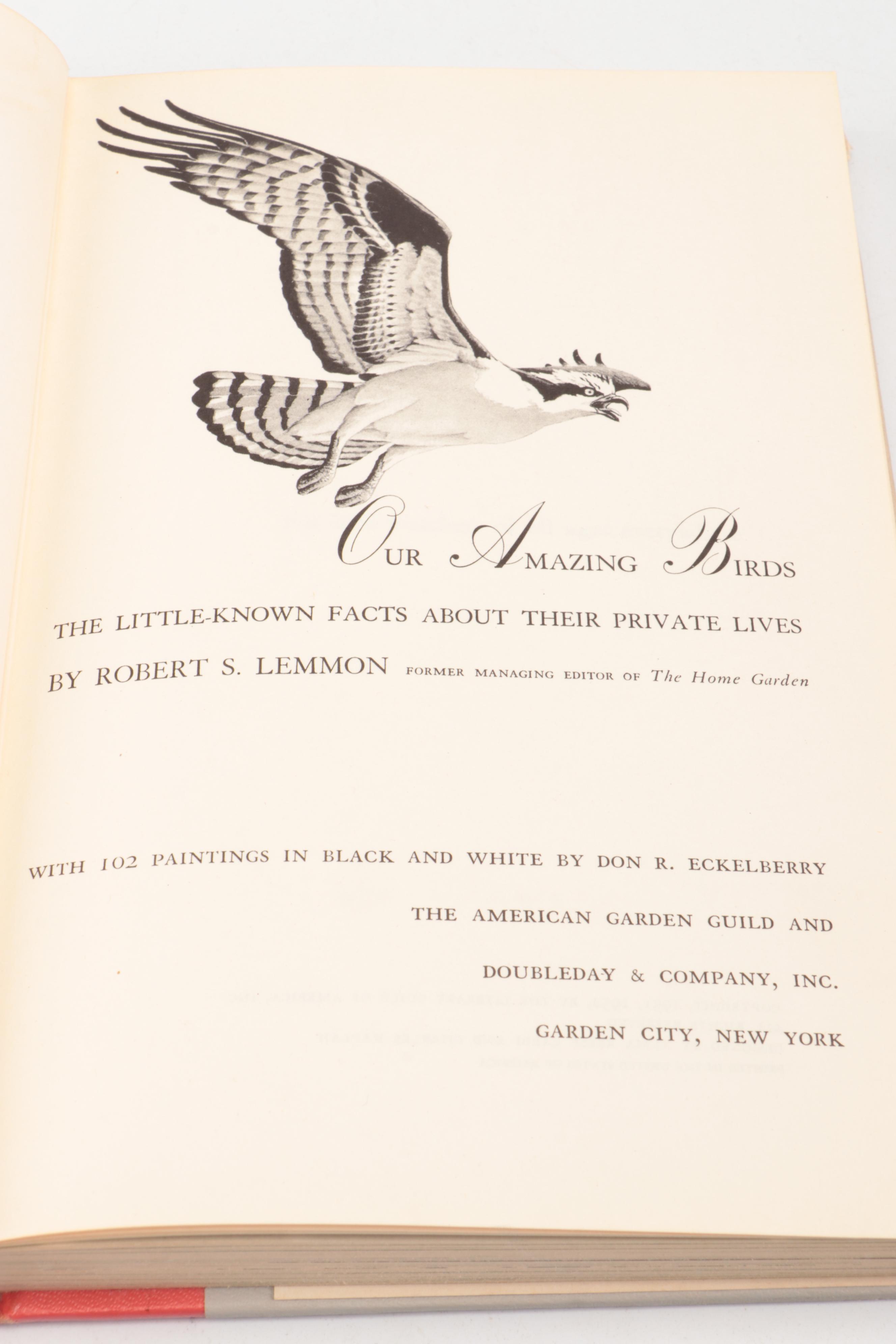 "The Imperial Collection of Audubon Animals" with "Our Amazing Birds"