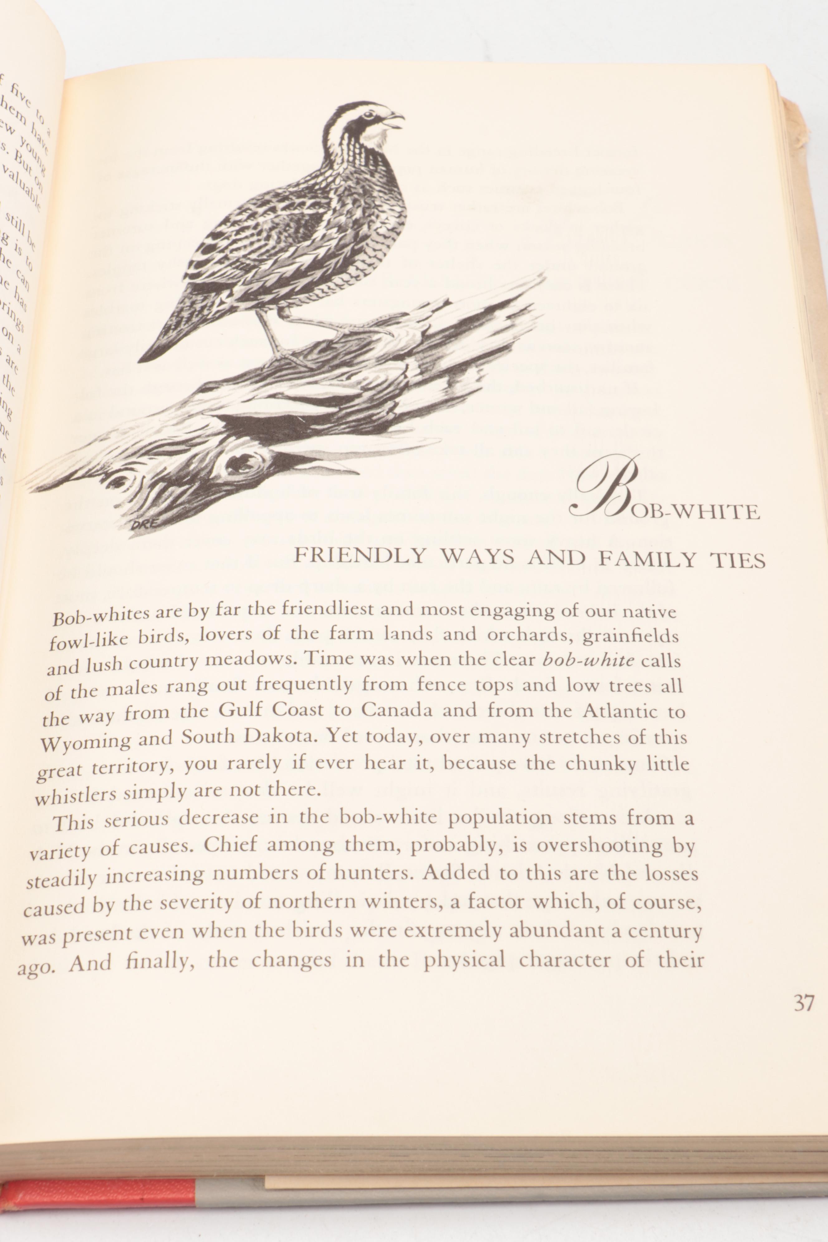"The Imperial Collection of Audubon Animals" with "Our Amazing Birds"
