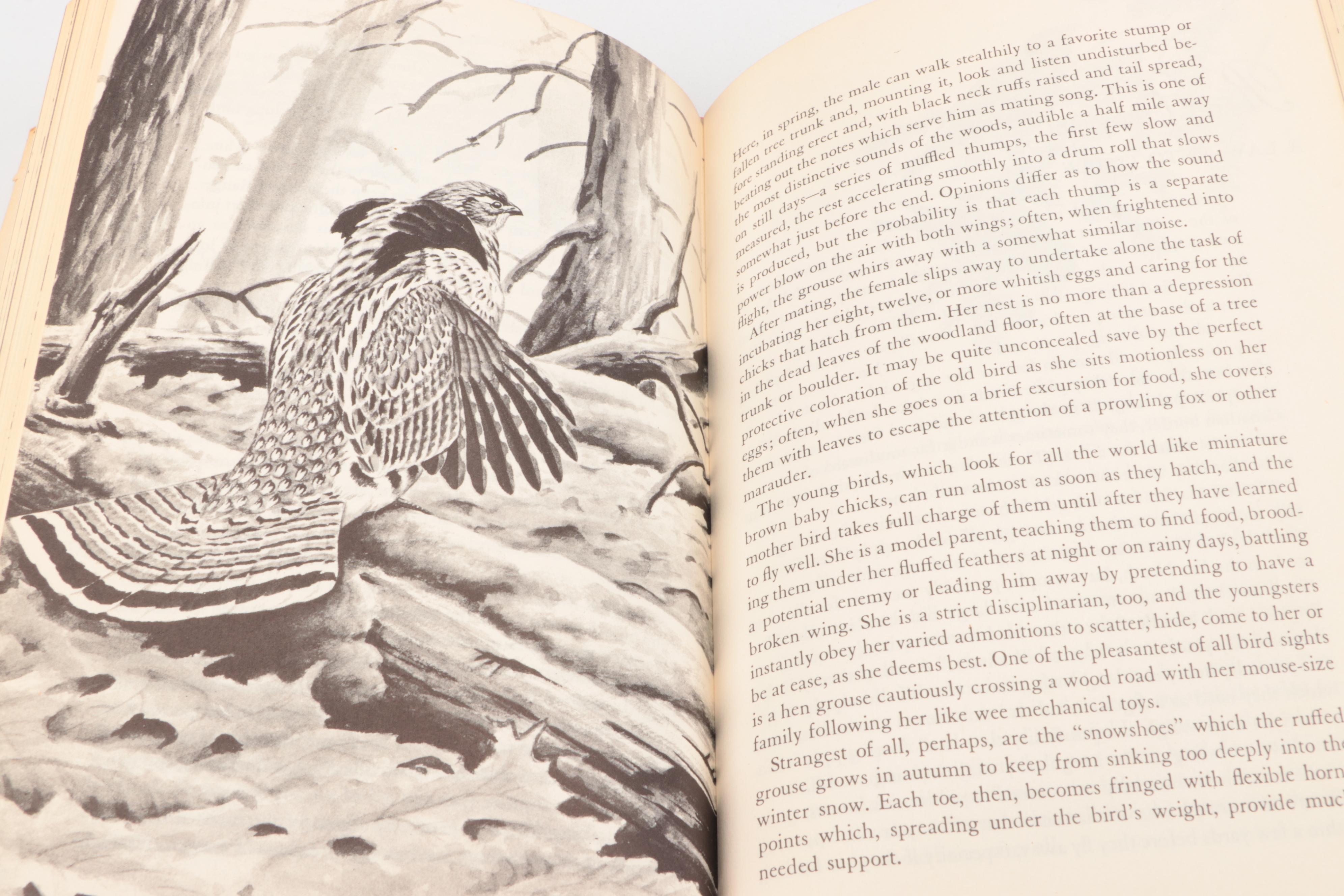 "The Imperial Collection of Audubon Animals" with "Our Amazing Birds"