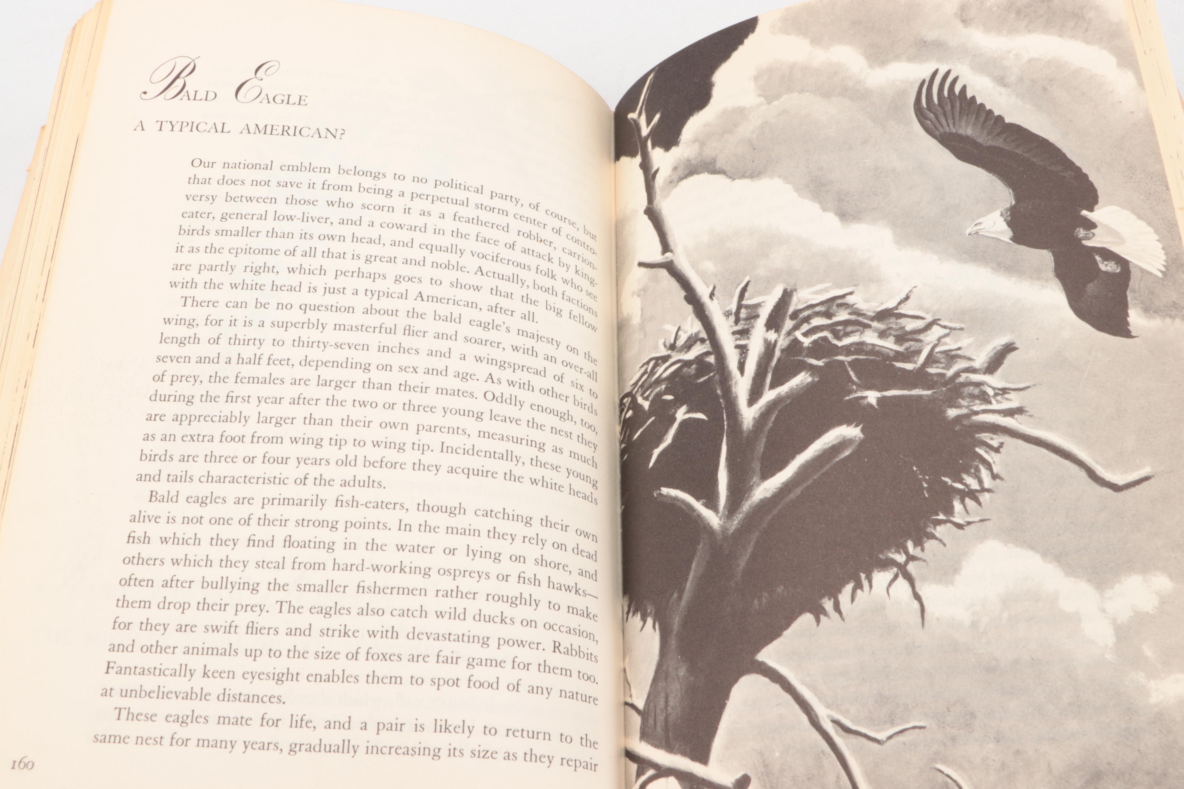 "The Imperial Collection of Audubon Animals" with "Our Amazing Birds"
