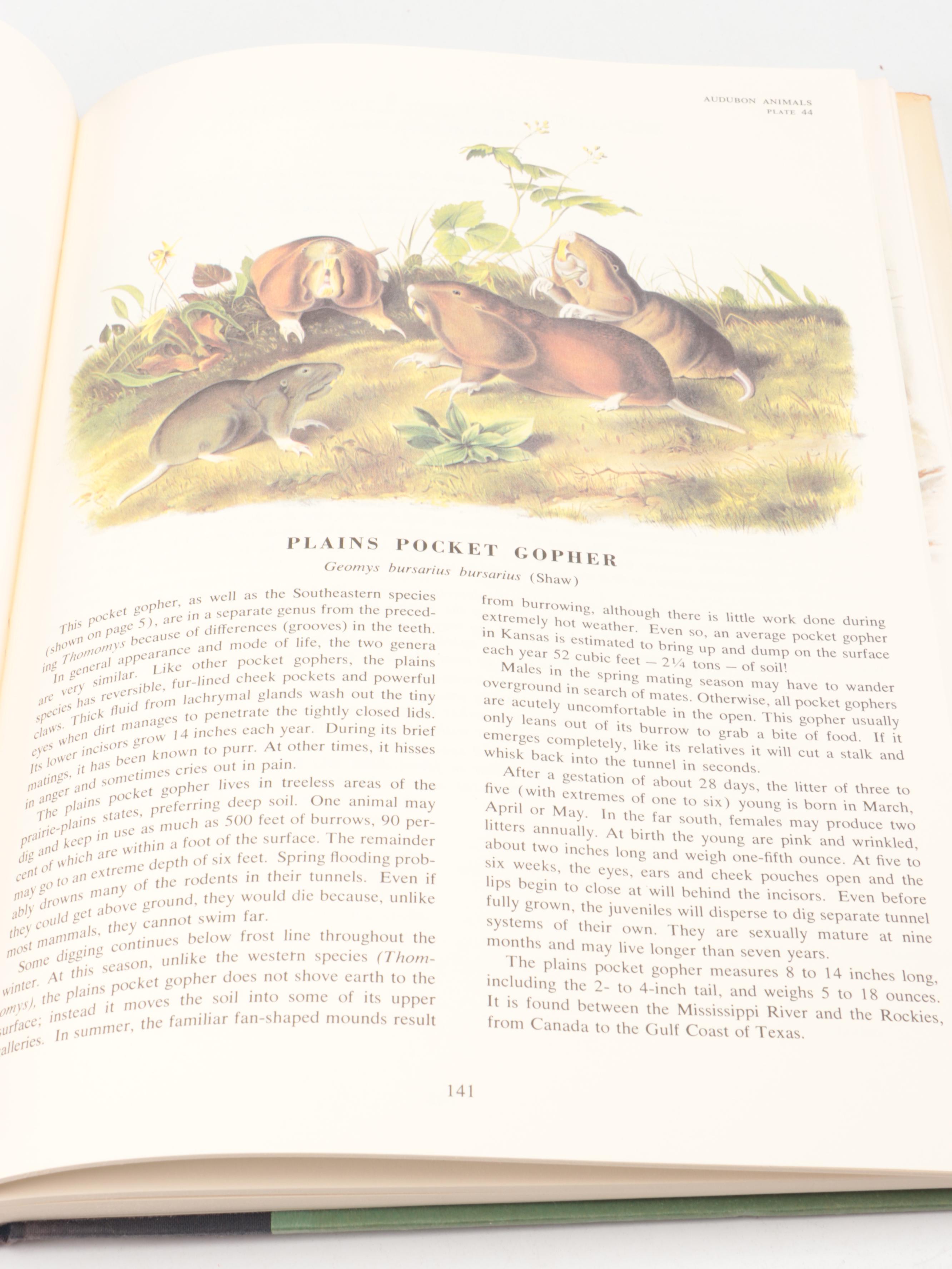 "The Imperial Collection of Audubon Animals" with "Our Amazing Birds"