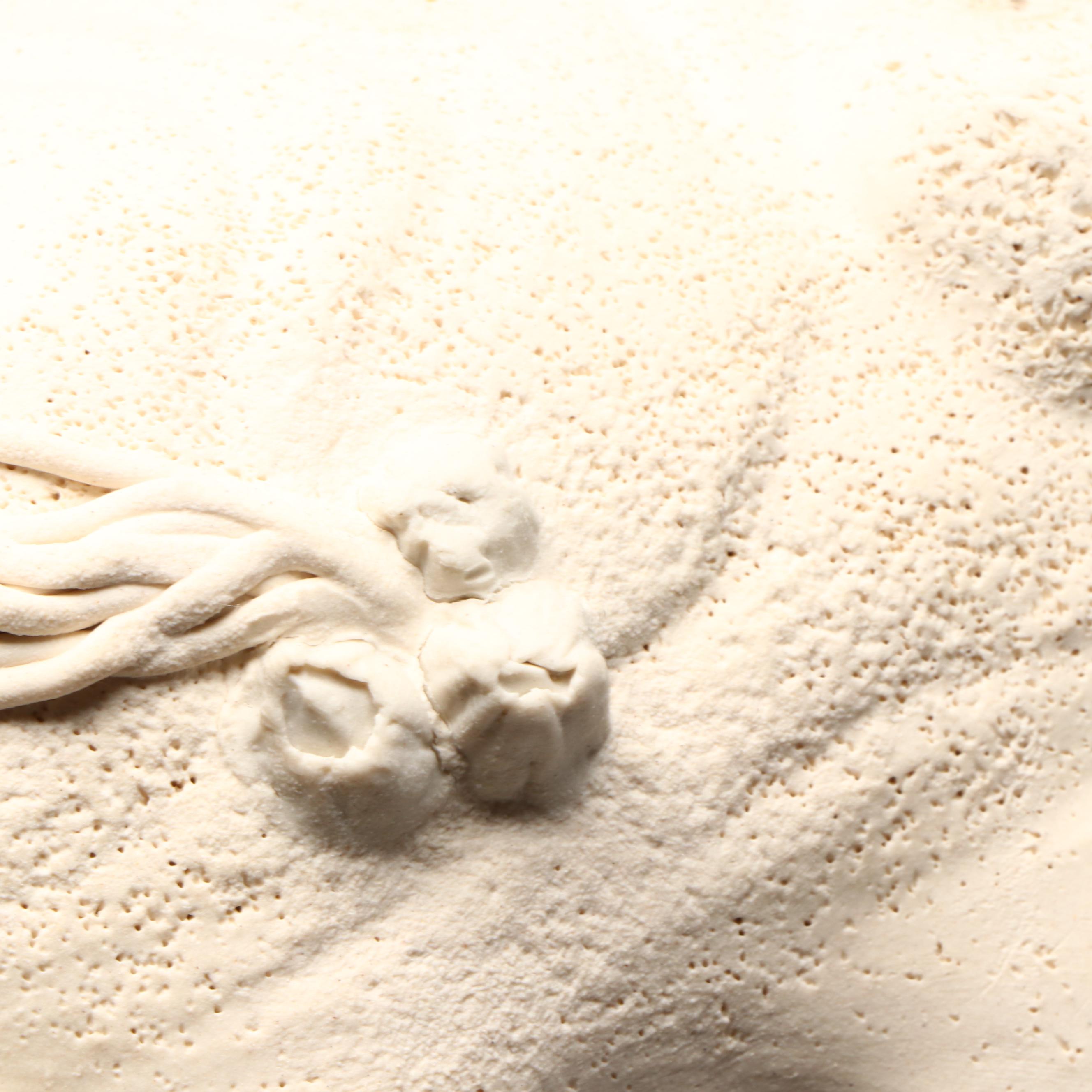 Homer Laughlin "Fiesta" Shell Plates with Oyster Serving Dish and Turtle Dip Set