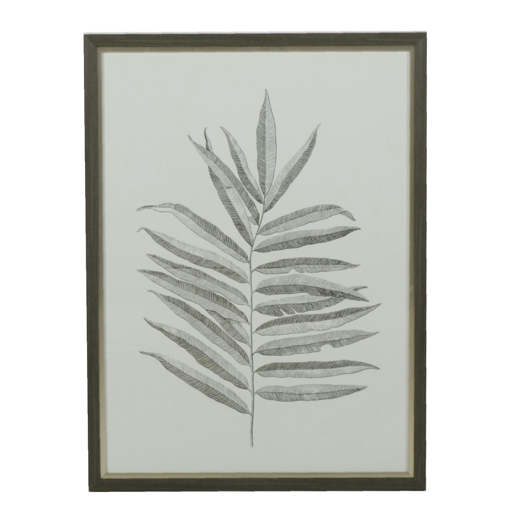 Uttermost Offset Lithograph Poster of Silver Fern, 2018