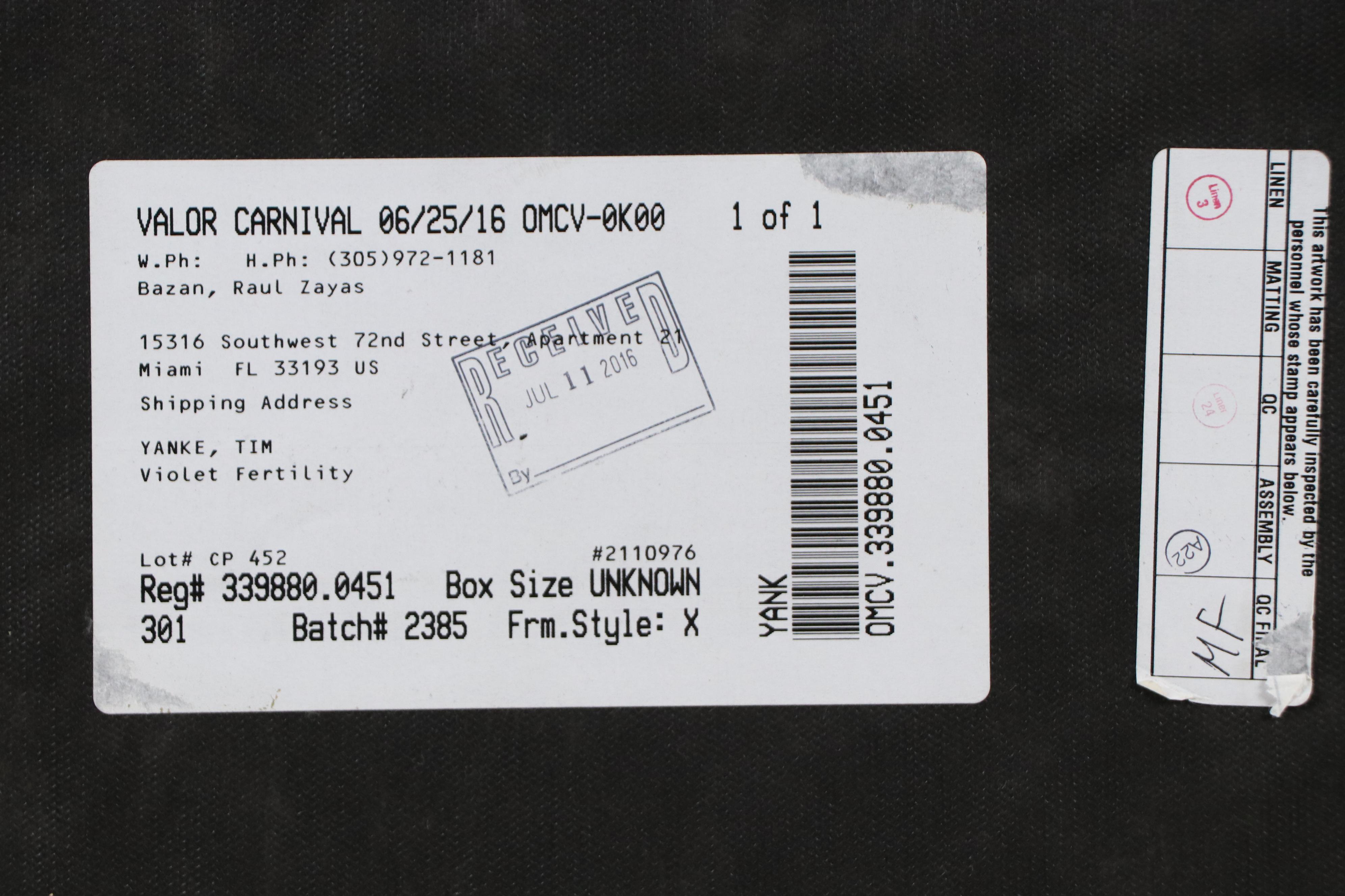 Tim Yanke Lenticular Print of Dragonfly "Violet Fertility"