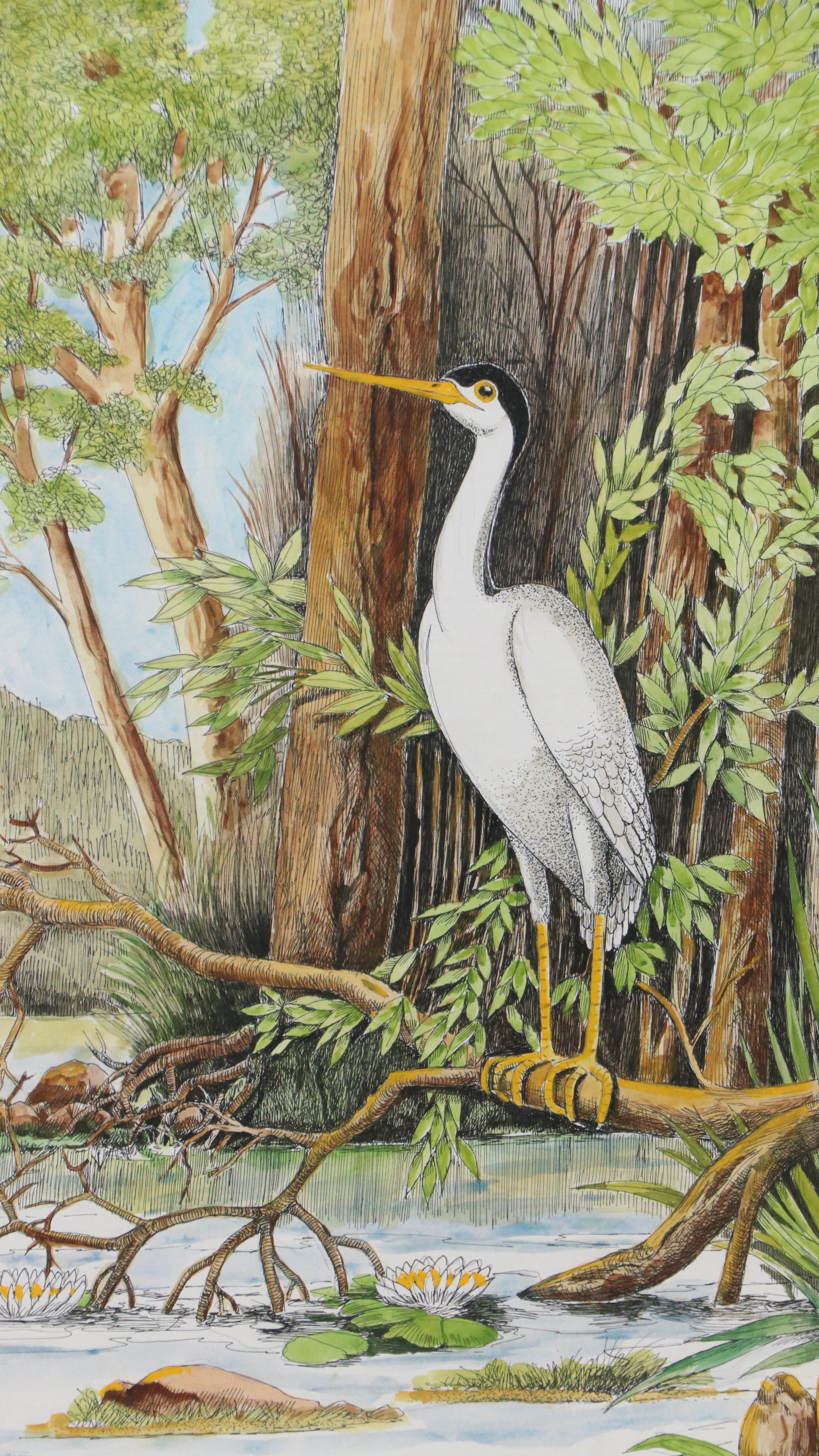 Watercolor, Pen and Ink Drawing of Black Crowned Egret