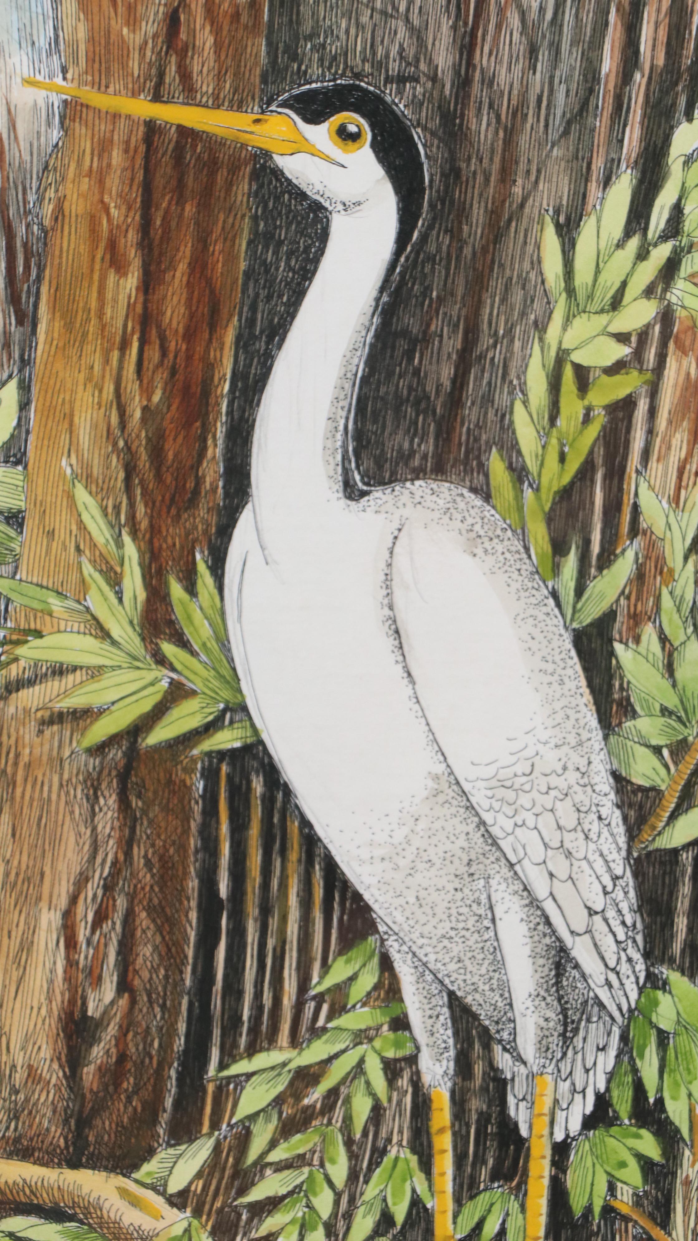 Watercolor, Pen and Ink Drawing of Black Crowned Egret