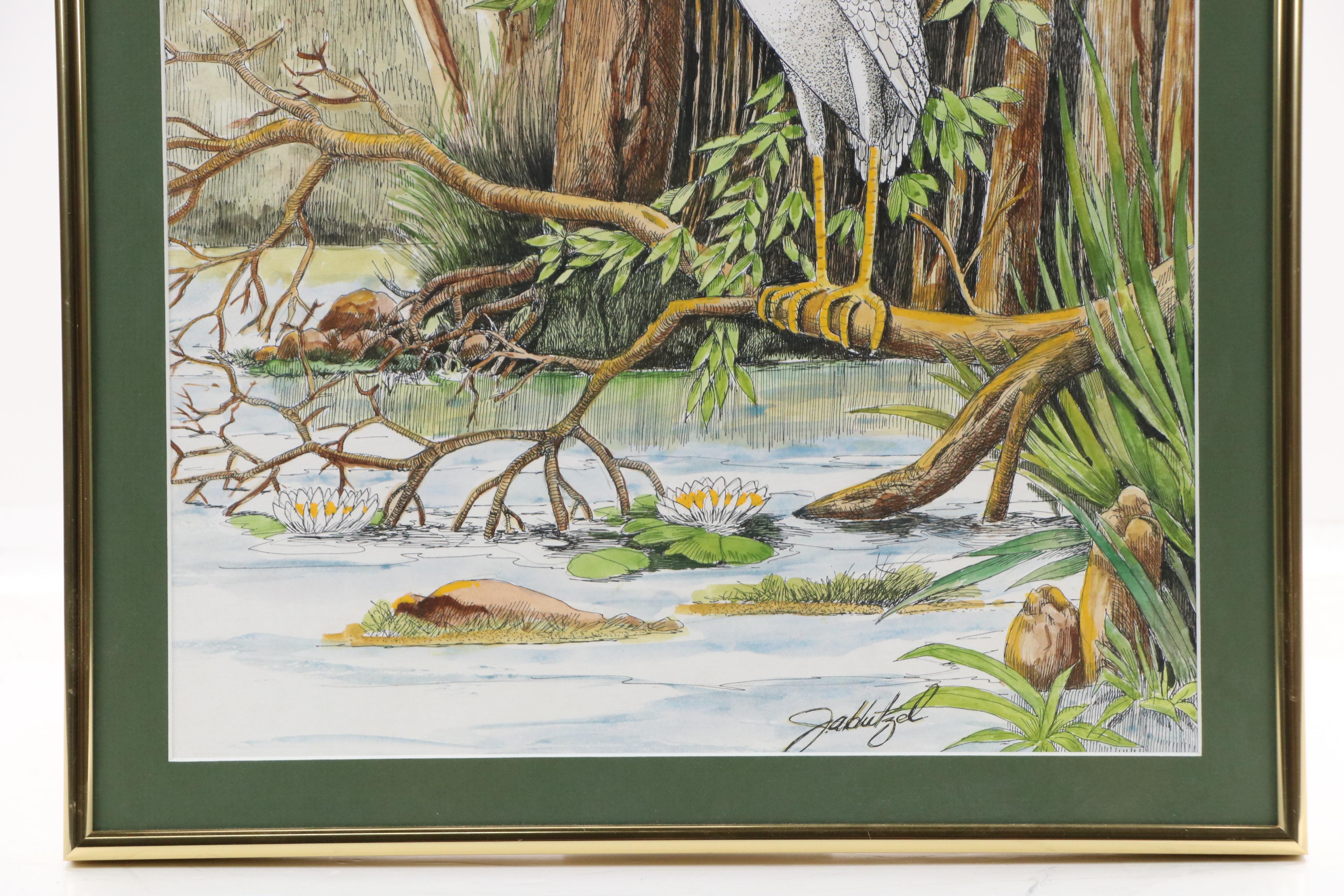 Watercolor, Pen and Ink Drawing of Black Crowned Egret