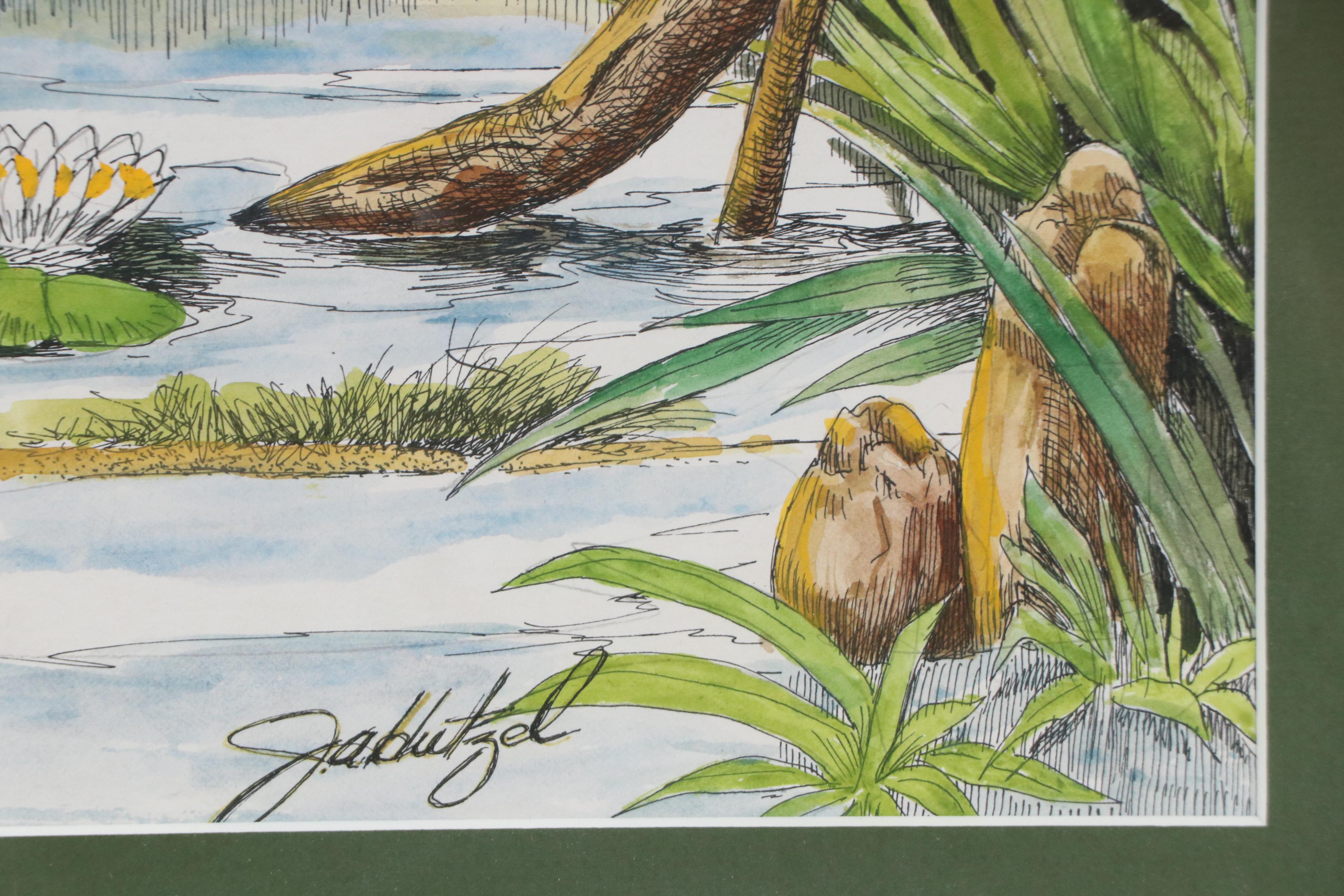 Watercolor, Pen and Ink Drawing of Black Crowned Egret