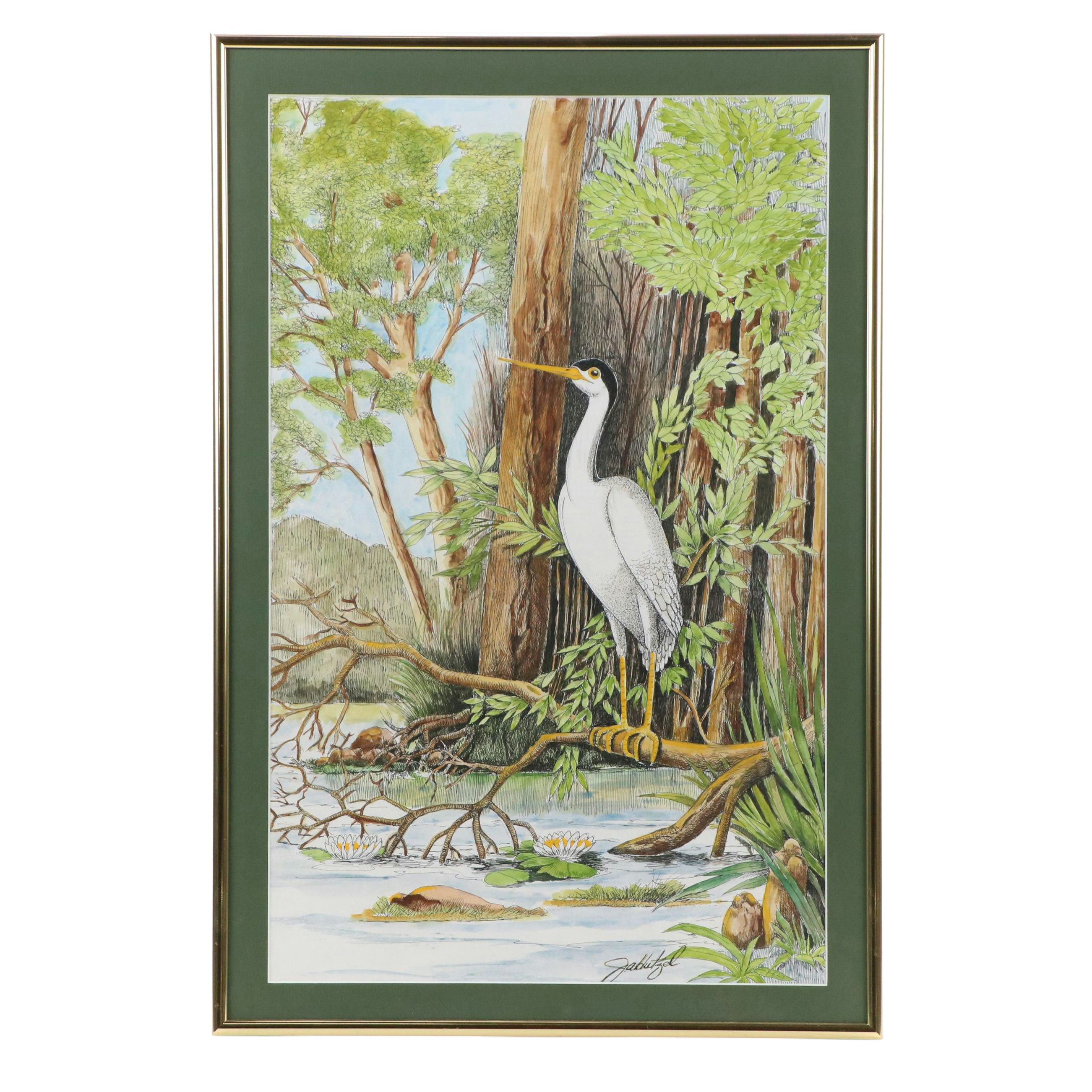 Watercolor, Pen and Ink Drawing of Black Crowned Egret