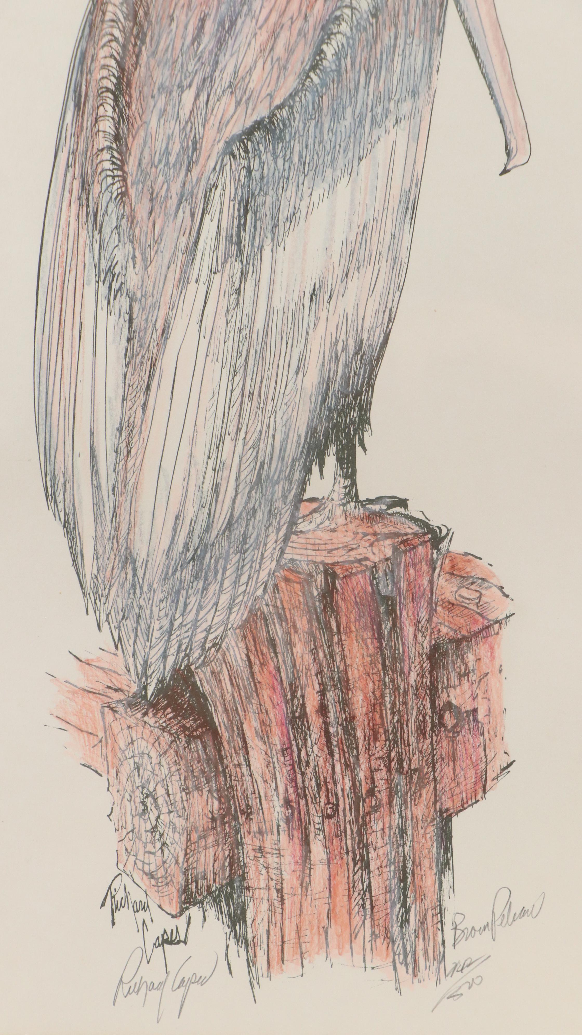 Richard Capes Lithograph "Brown Pelican"