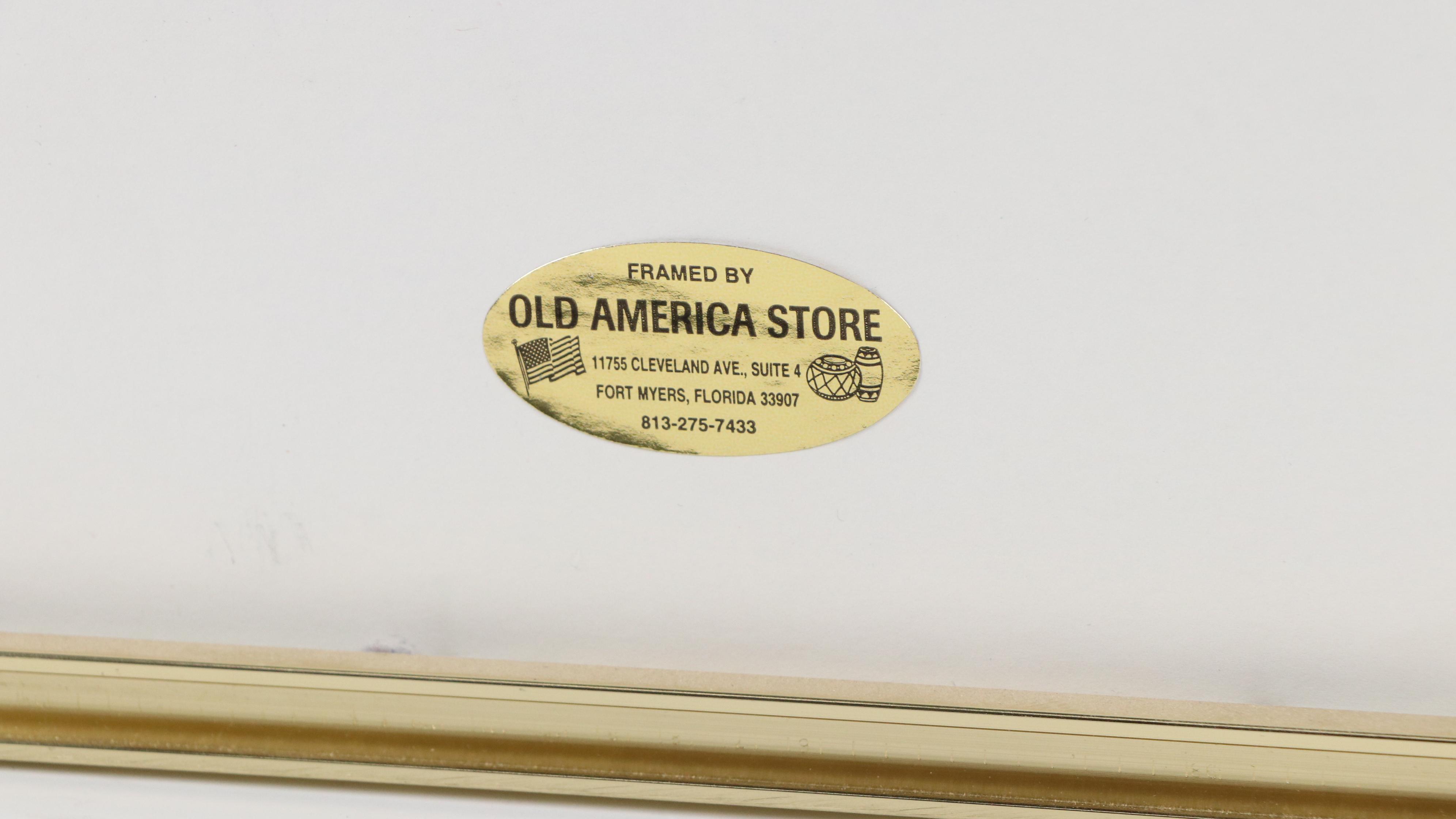 Richard Capes Lithograph "Brown Pelican"