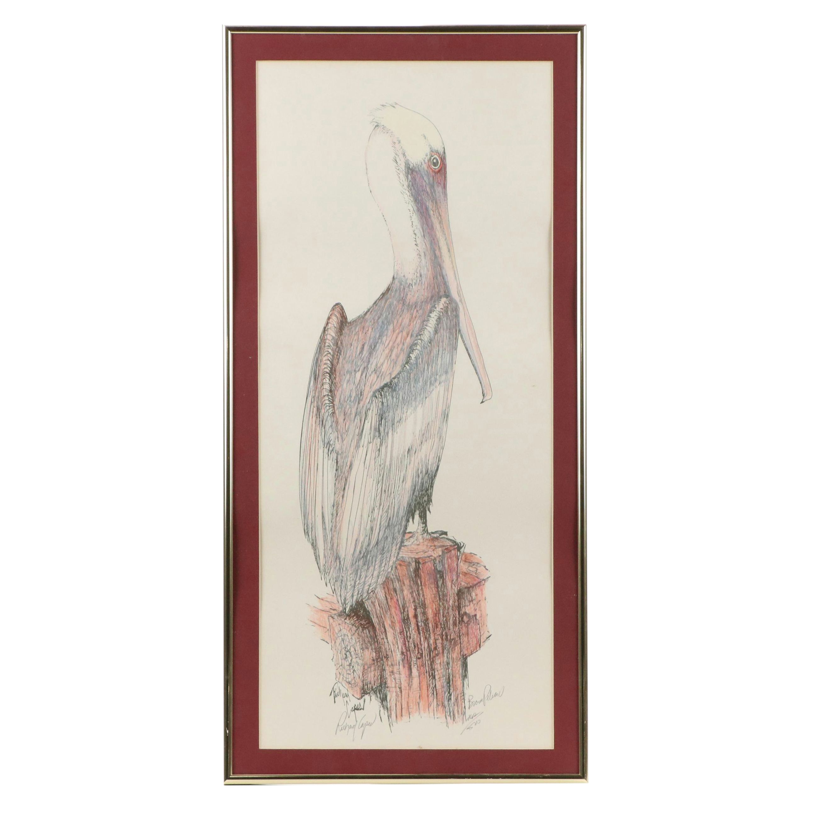 Richard Capes Lithograph "Brown Pelican"