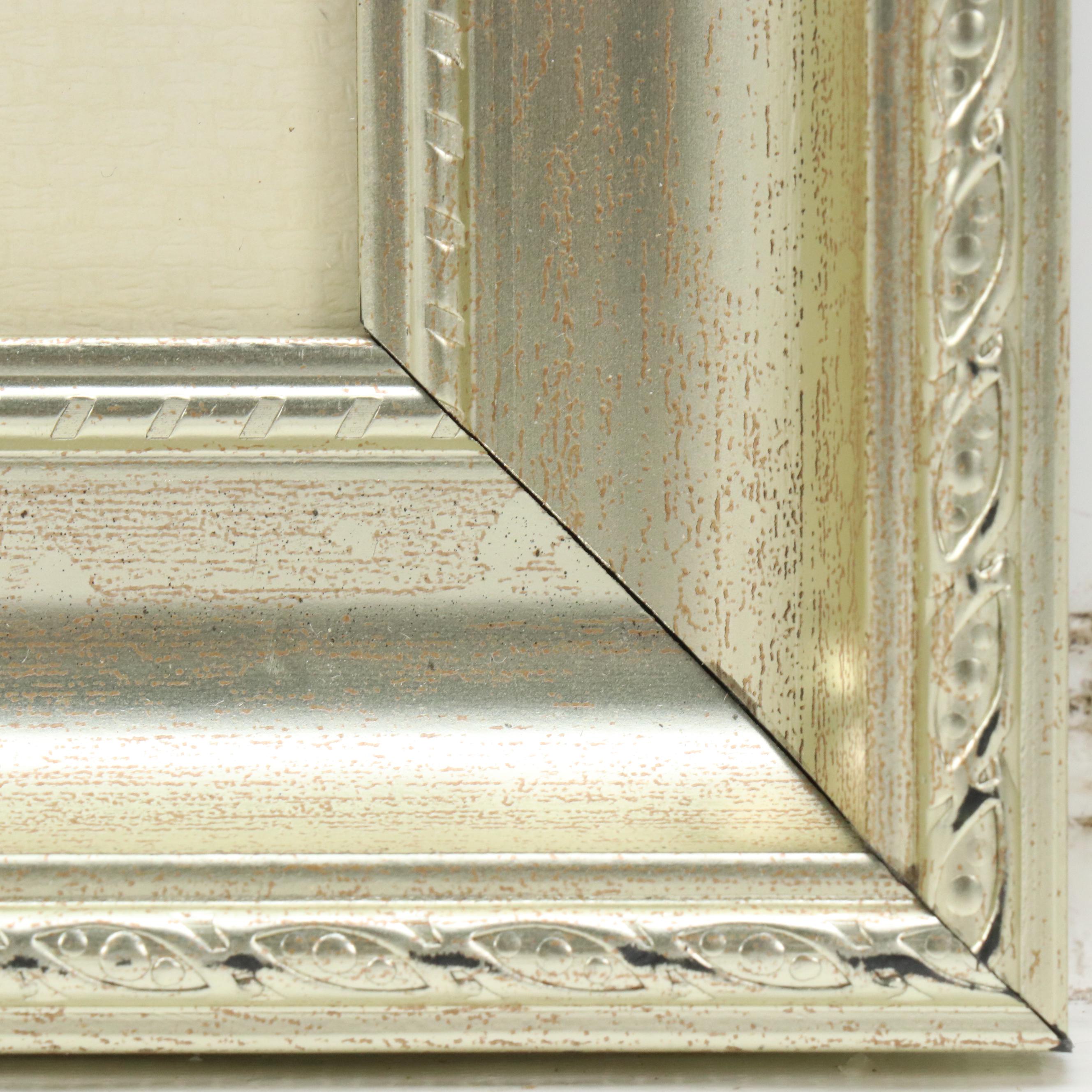 Hand-Colored Aquatint "Whiskered Fantail" from "Cassell's Book of Birds"