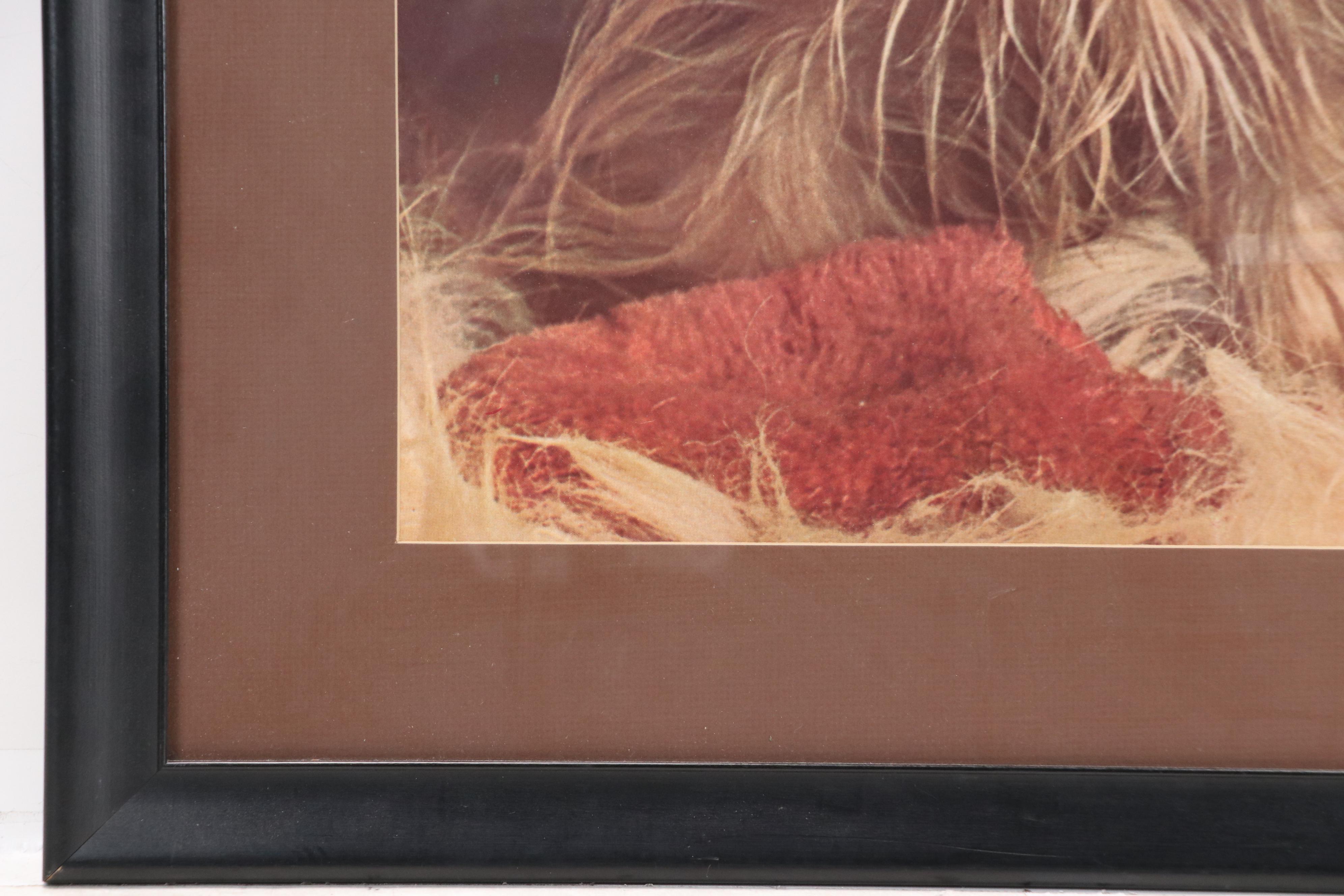 Offset Lithograph of Yorkshire Terrier, Late 20th–21st Century