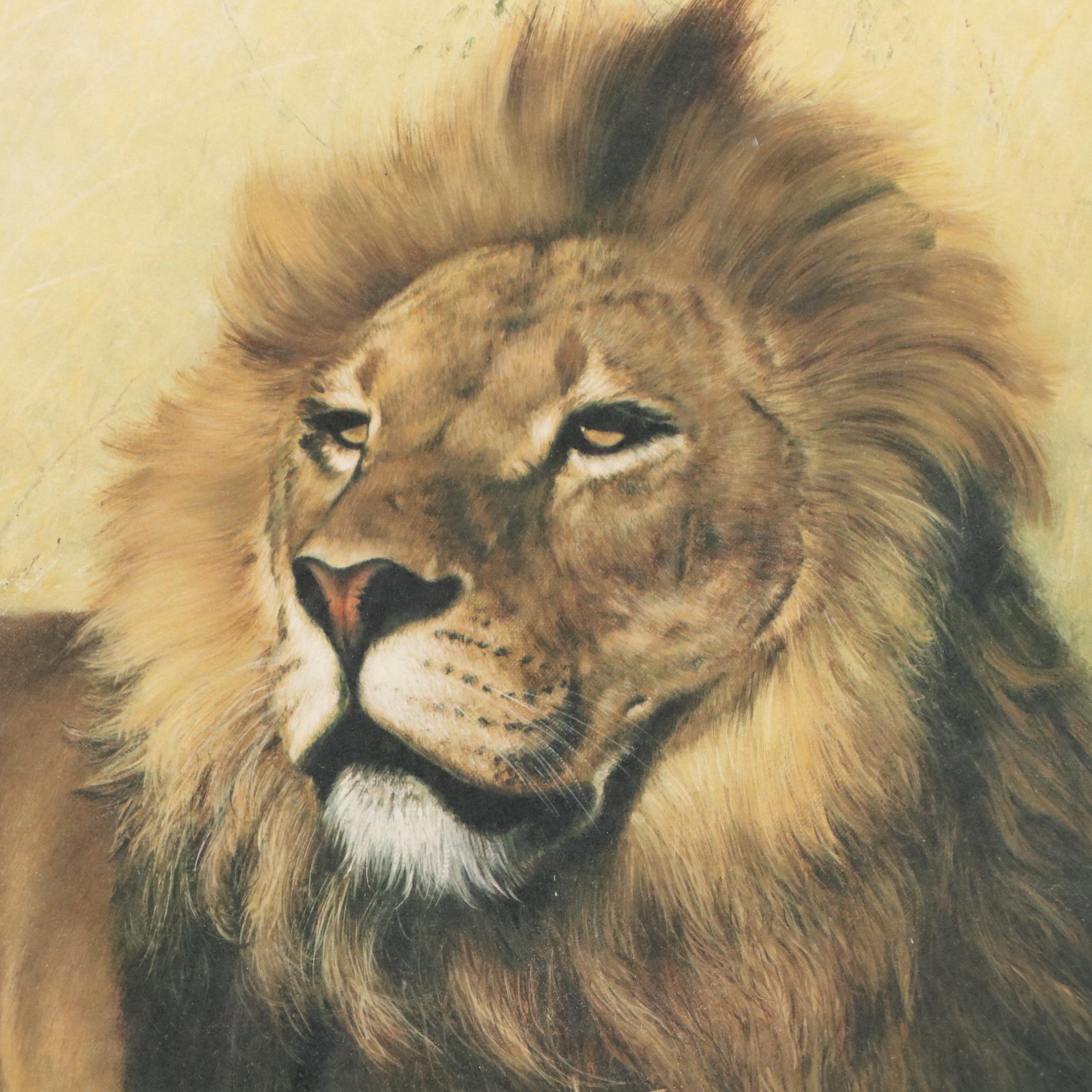 Charles Fracé Offset Lithograph "The Lions," Late 20th Century