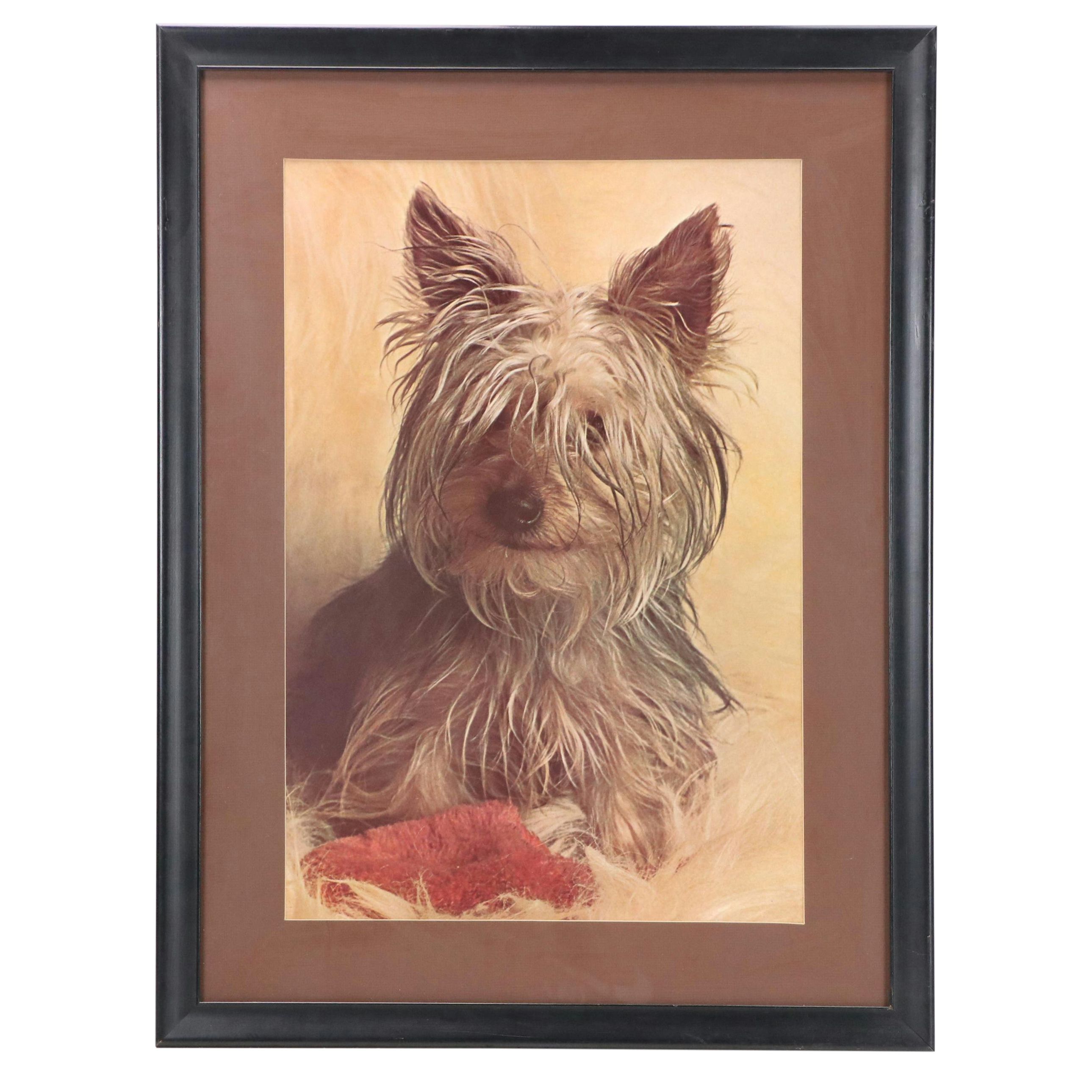 Offset Lithograph of Yorkshire Terrier, Late 20th–21st Century