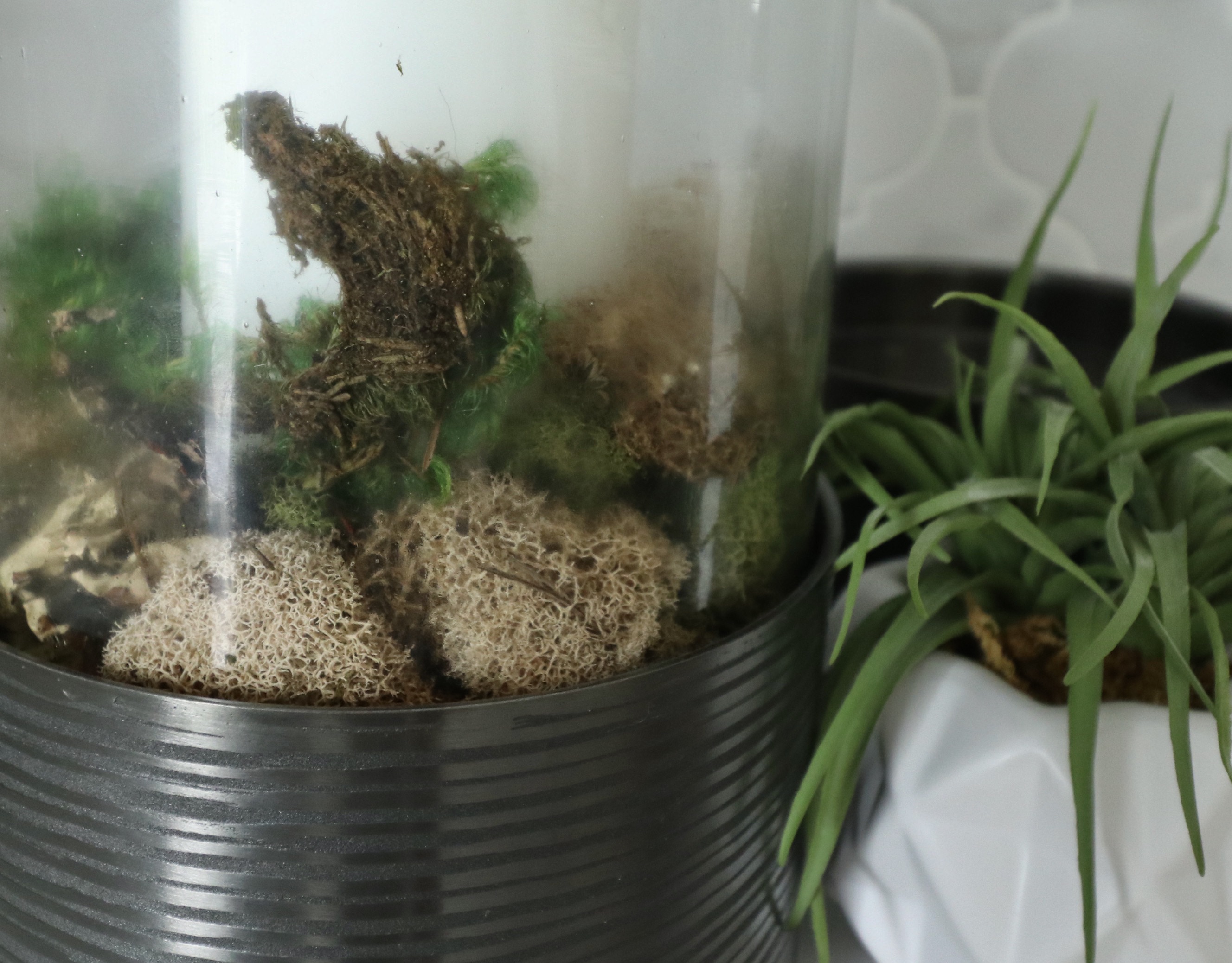 Pottery Barn "Orion" Terracotta Footed Bowls and Other Tray Décor