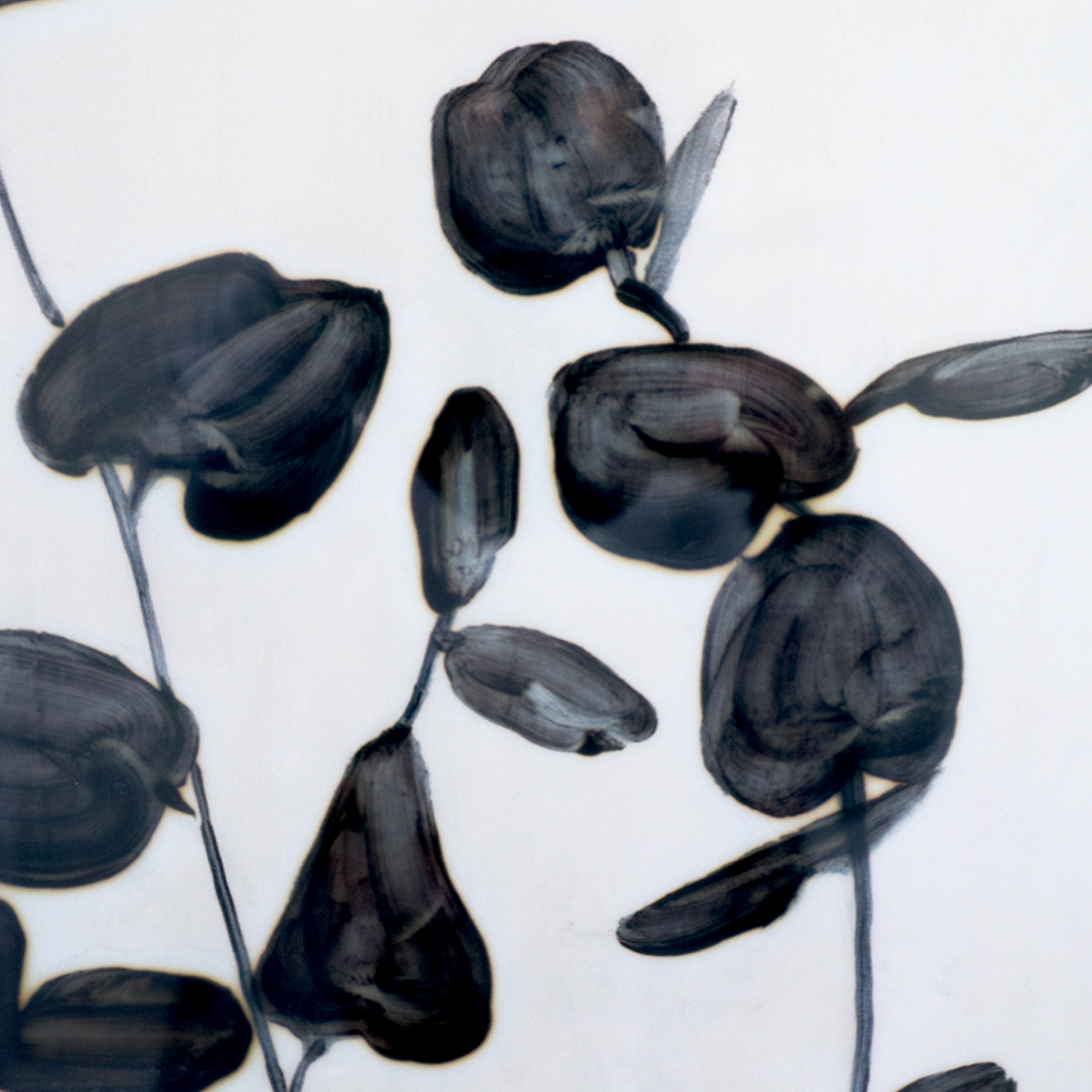 Botanical Digital Prints After Julia Purinton