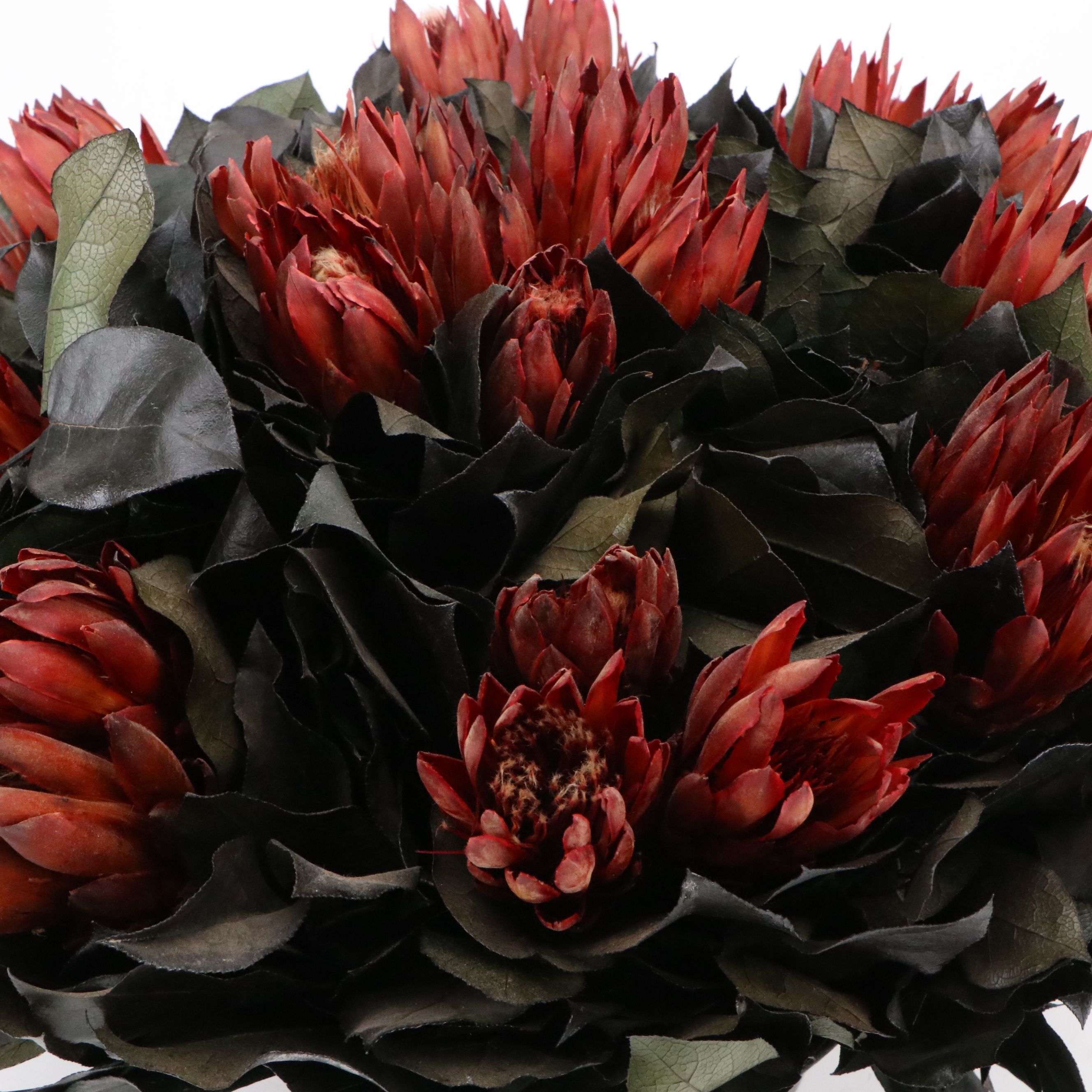 Bougainvillea Label Artificial Proteas in Metal Vase