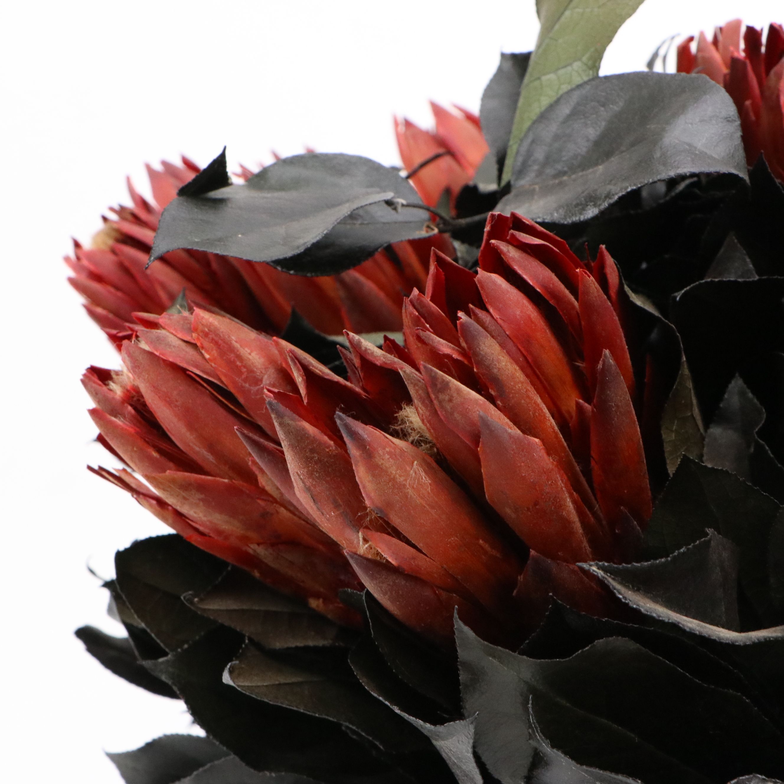 Bougainvillea Label Artificial Proteas in Metal Vase