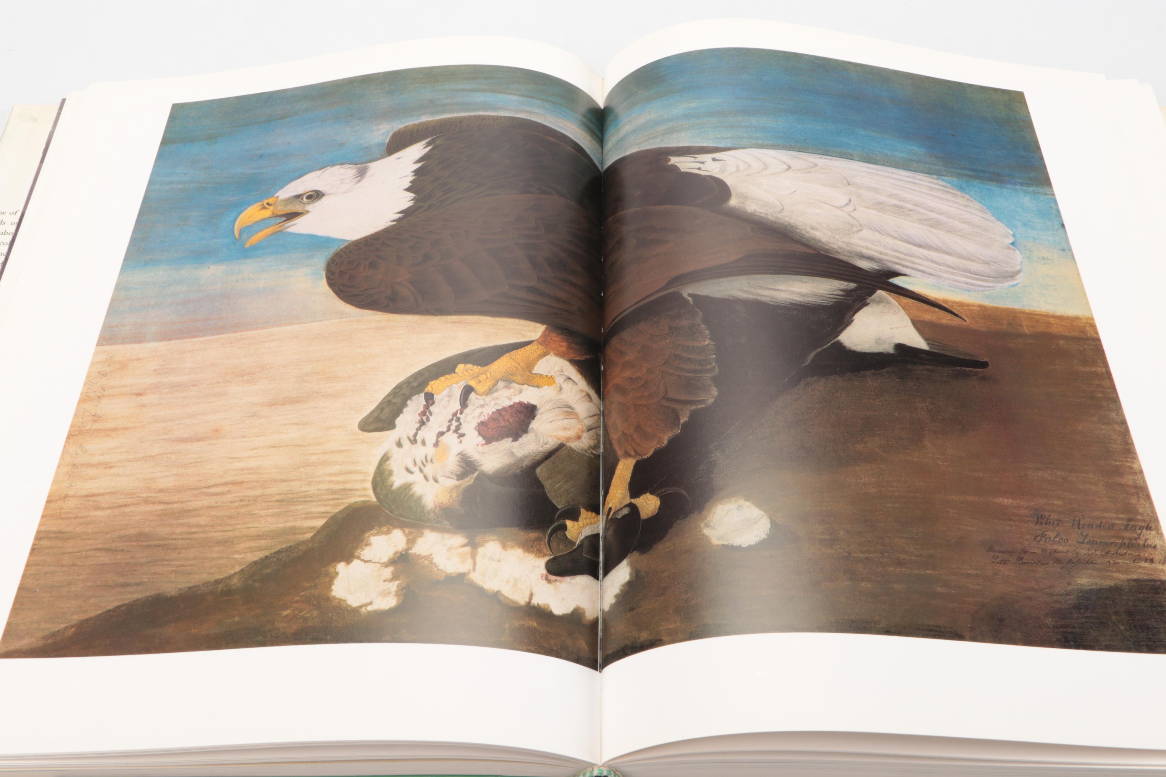 First Edition Thus "John James Audubon: Watercolors for Birds of America," 1997