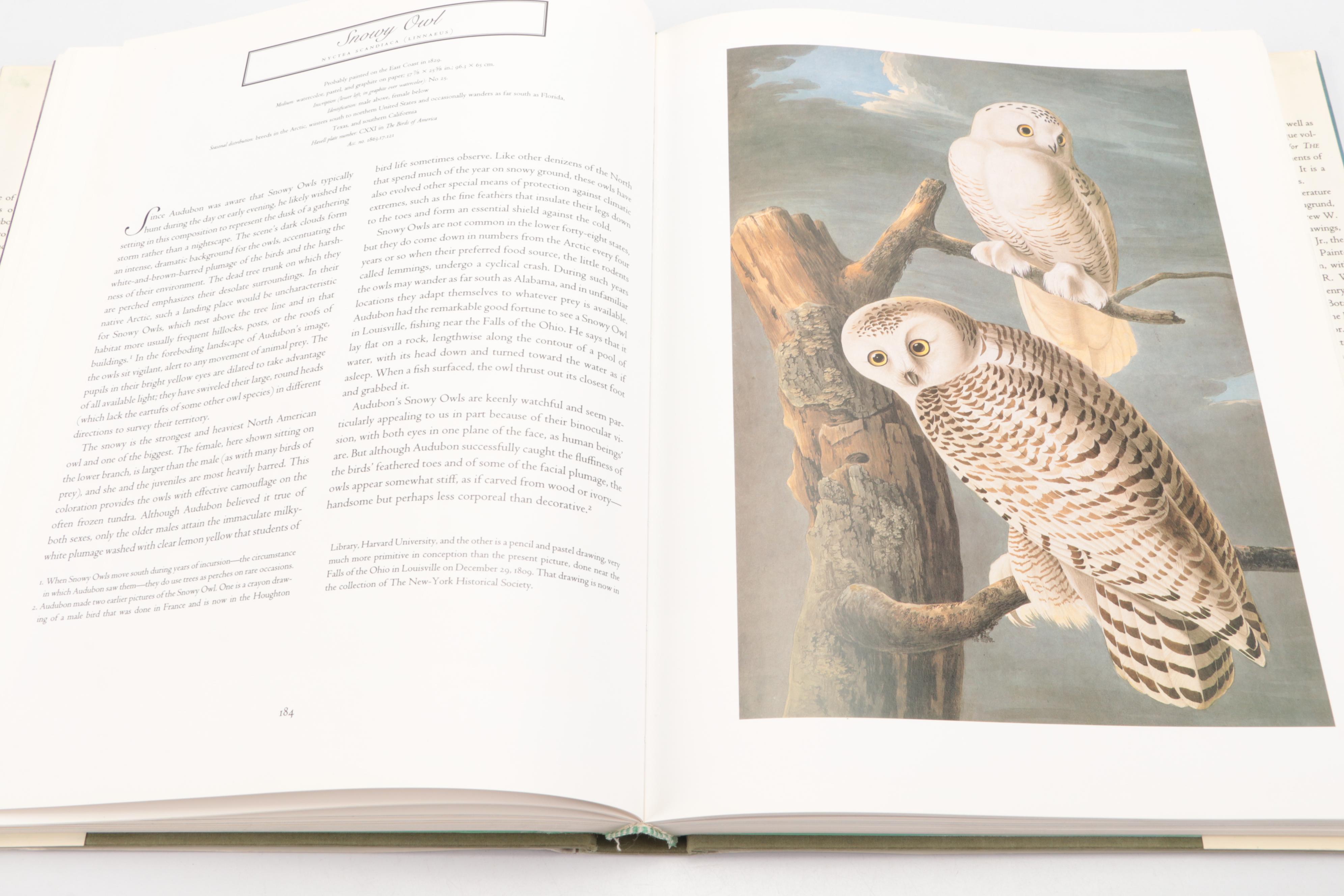 First Edition Thus "John James Audubon: Watercolors for Birds of America," 1997