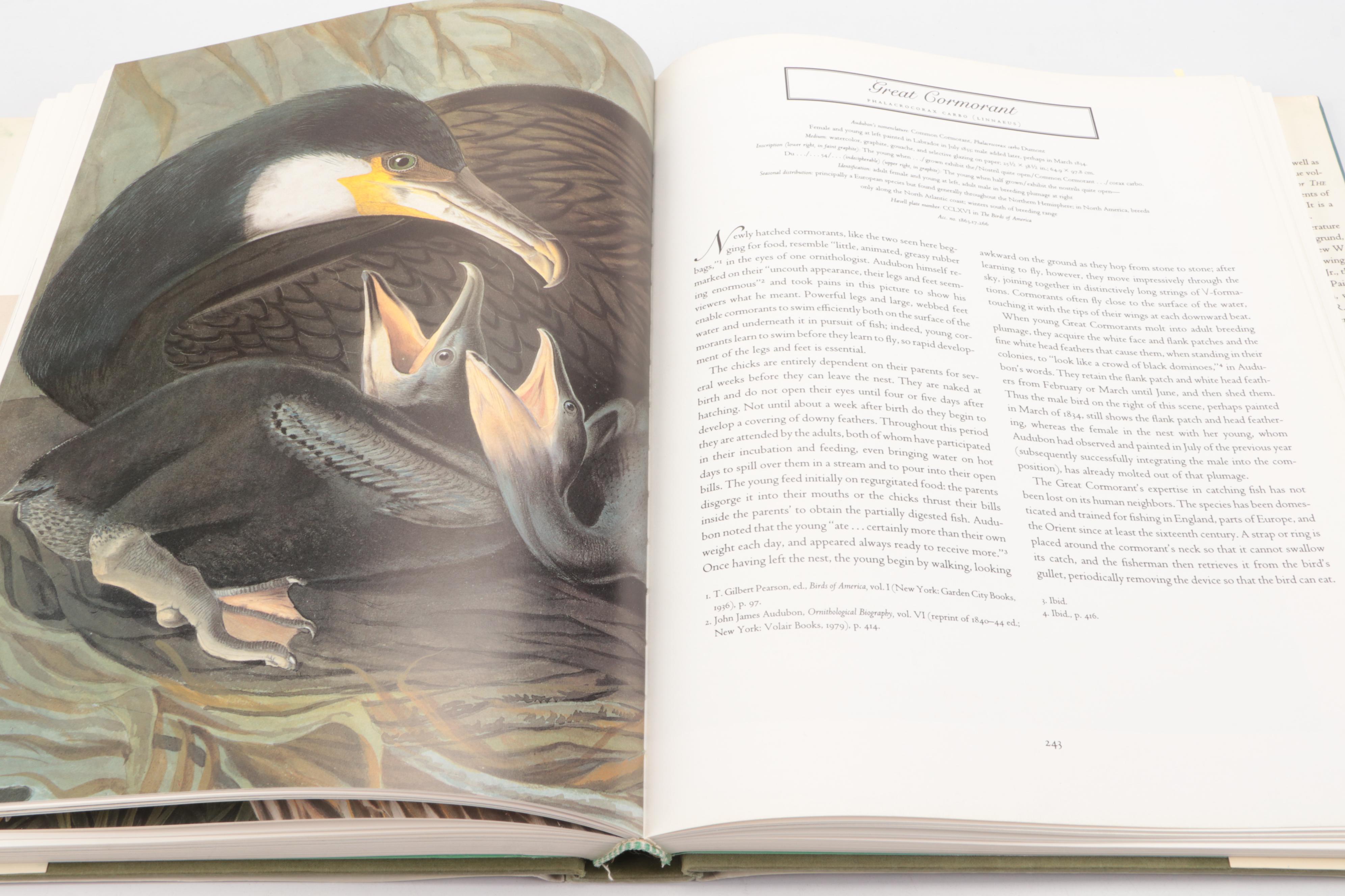 First Edition Thus "John James Audubon: Watercolors for Birds of America," 1997