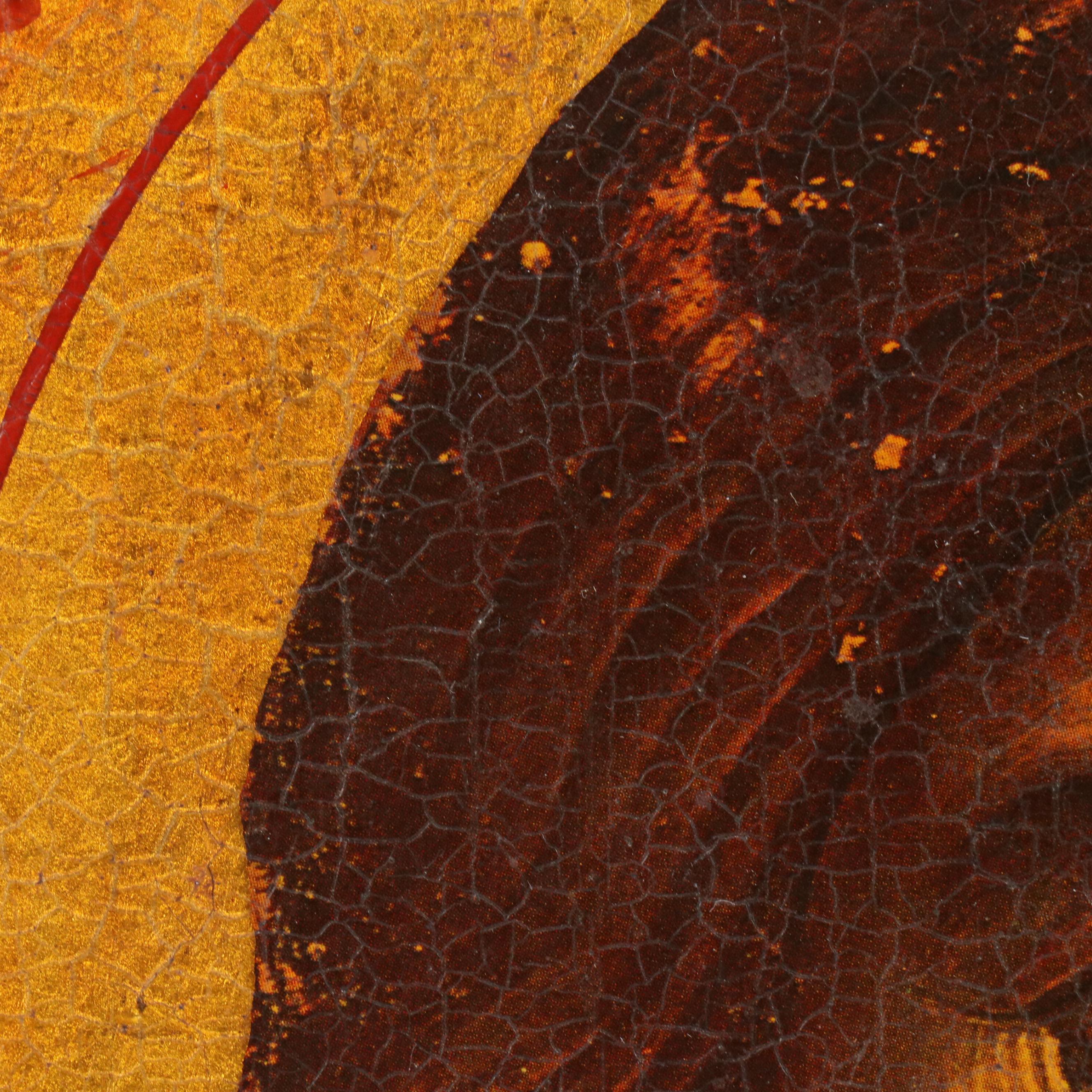 Milen Georgio Virgin Mary with Other Russian Orthodox Icons