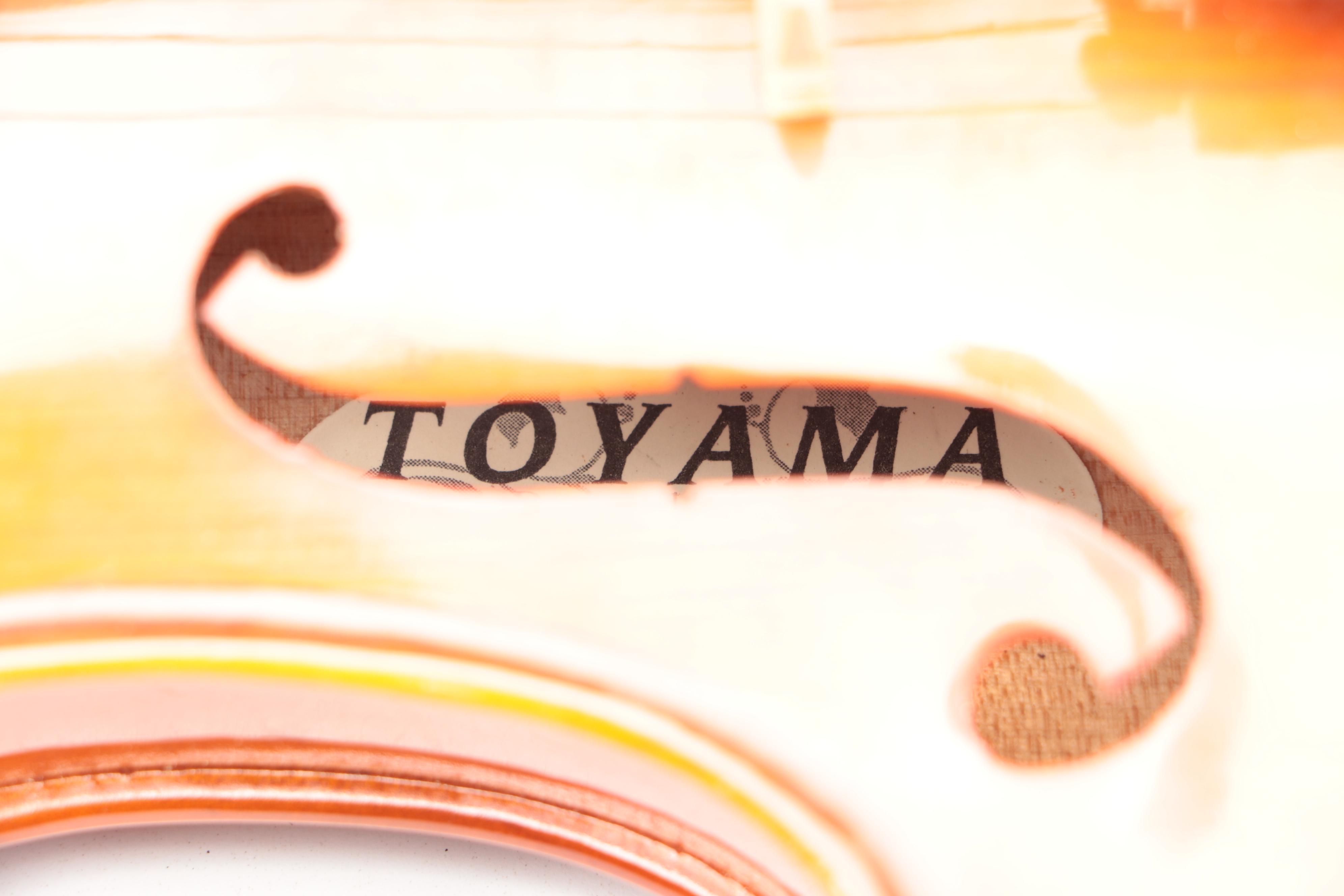 Toyama TS-4/4 Violin and Bow with Plaid Covered Hard Case