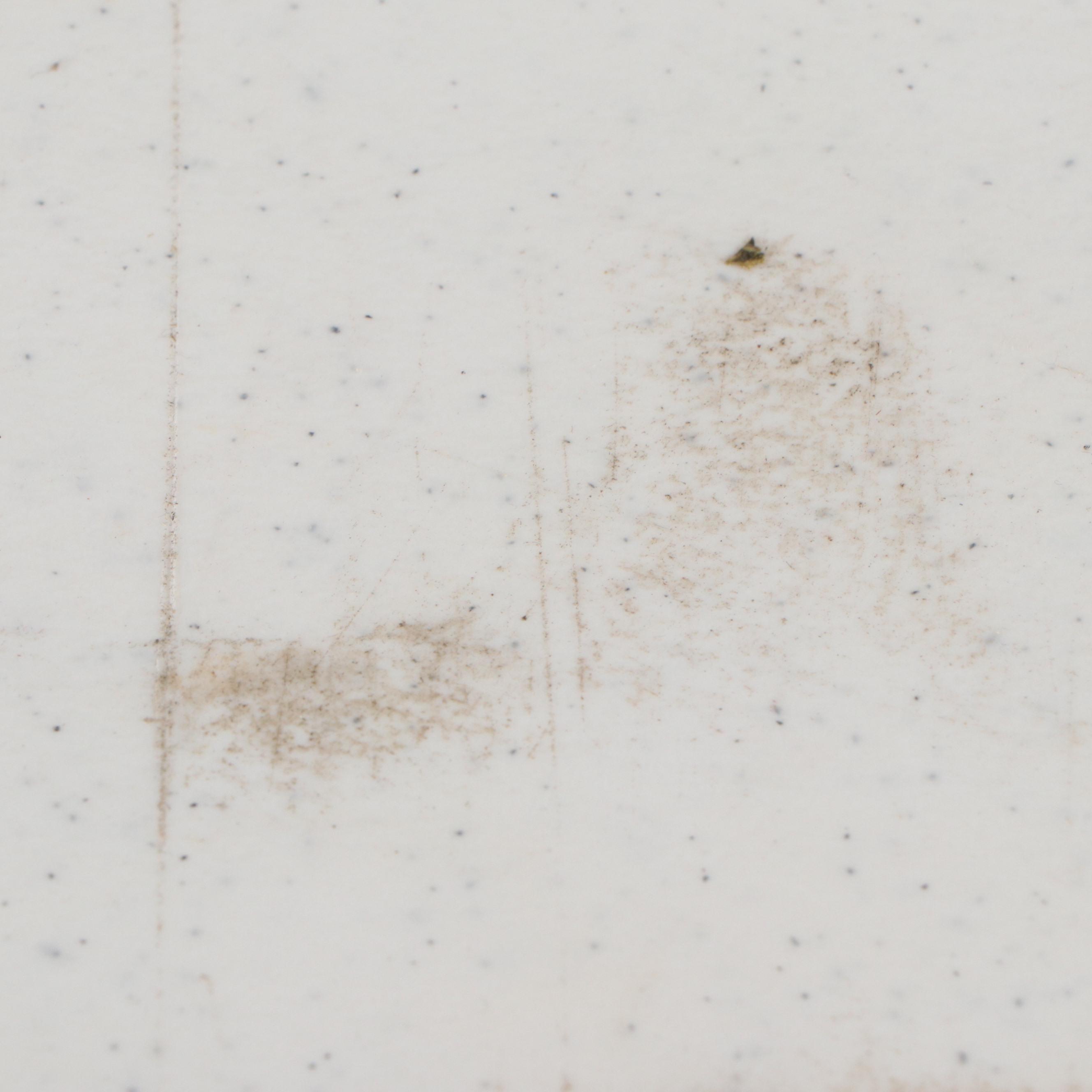 Lifetime Plastic Top Folding Tables