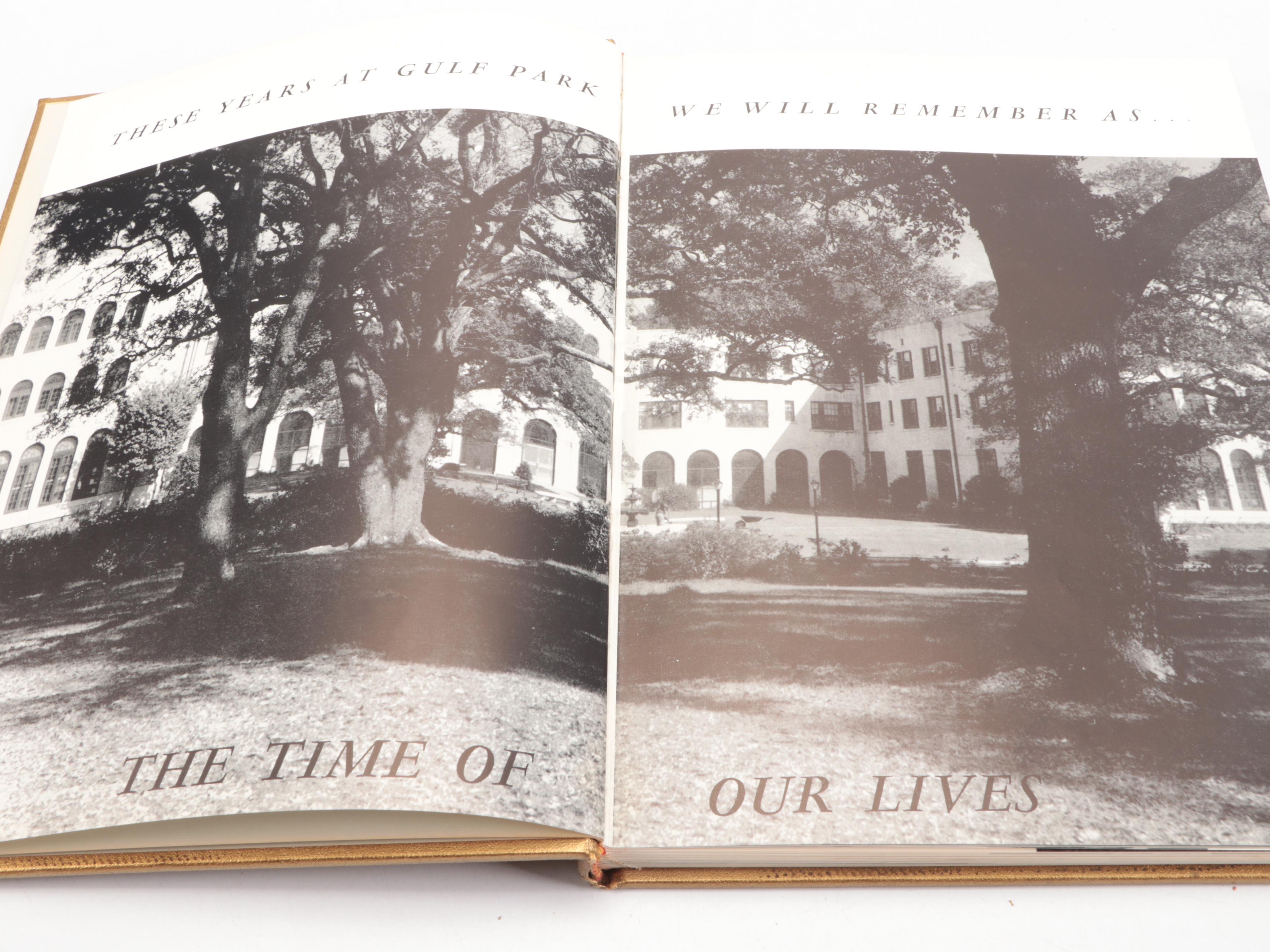 "Degas Dancers" by Lillian Browse and More Nonfiction Books