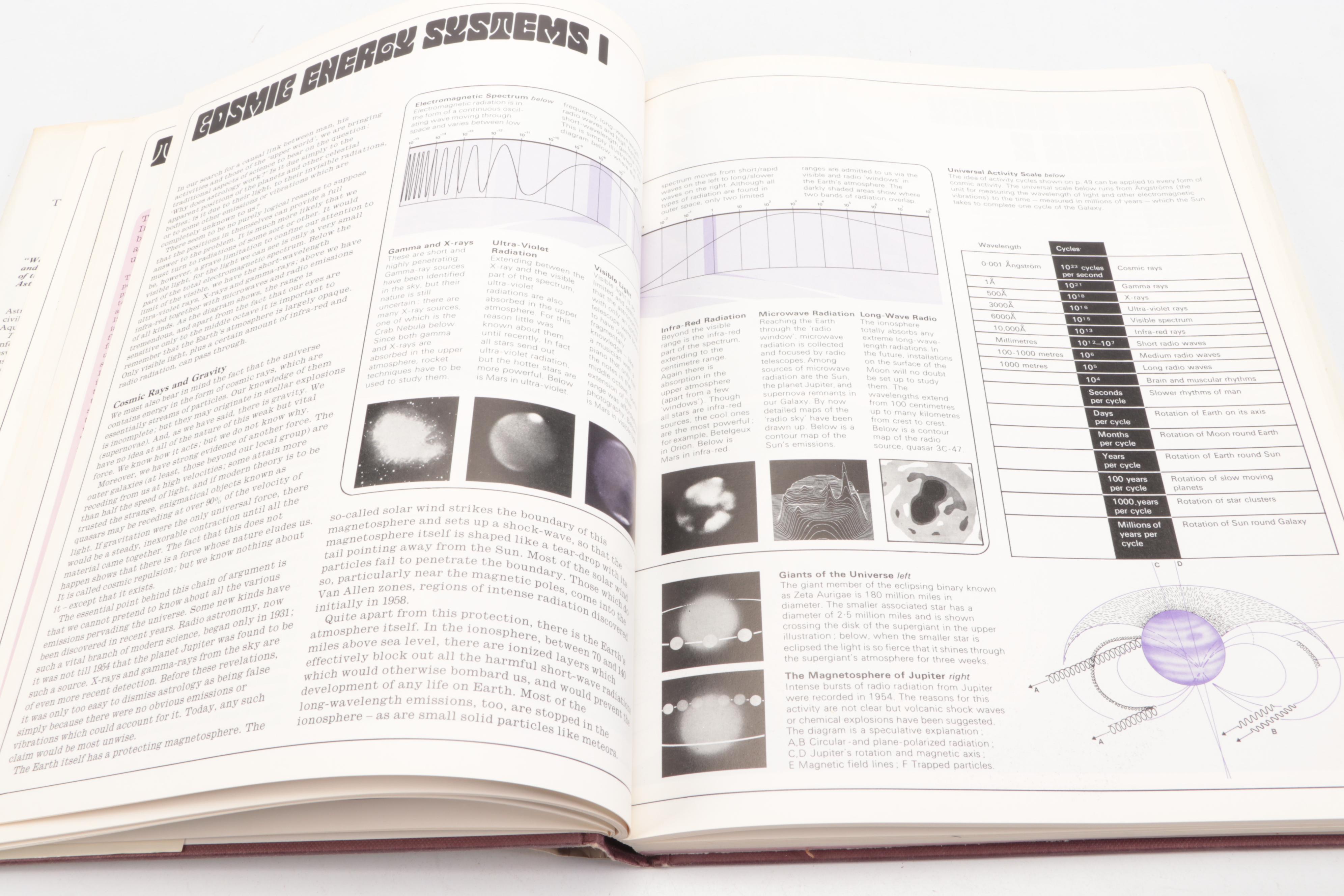 "Degas Dancers" by Lillian Browse and More Nonfiction Books