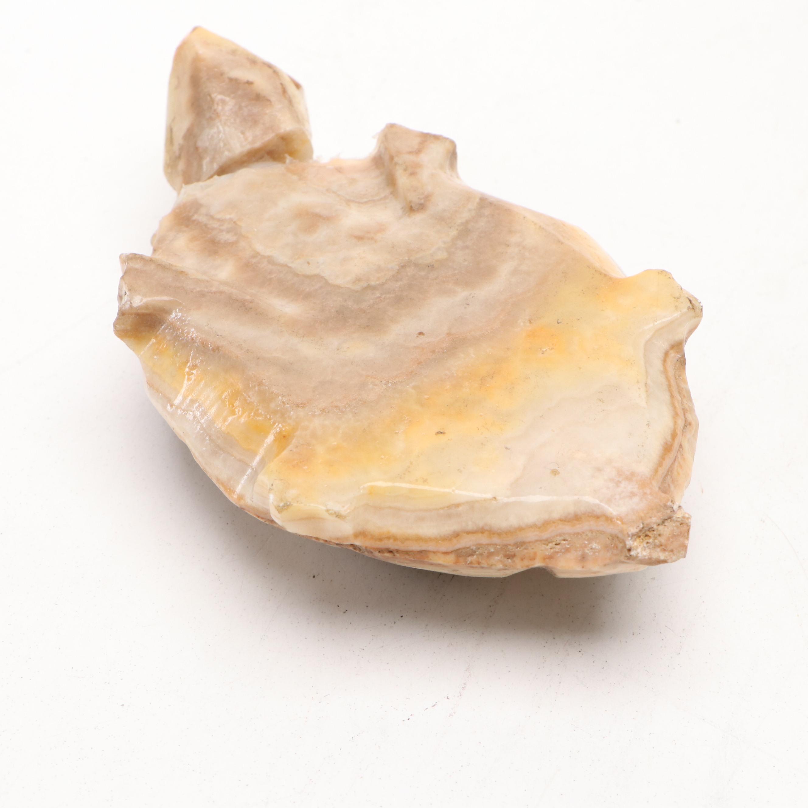 Buddha Statue with Cylindrical Character Vase and Banded Agate Turtle