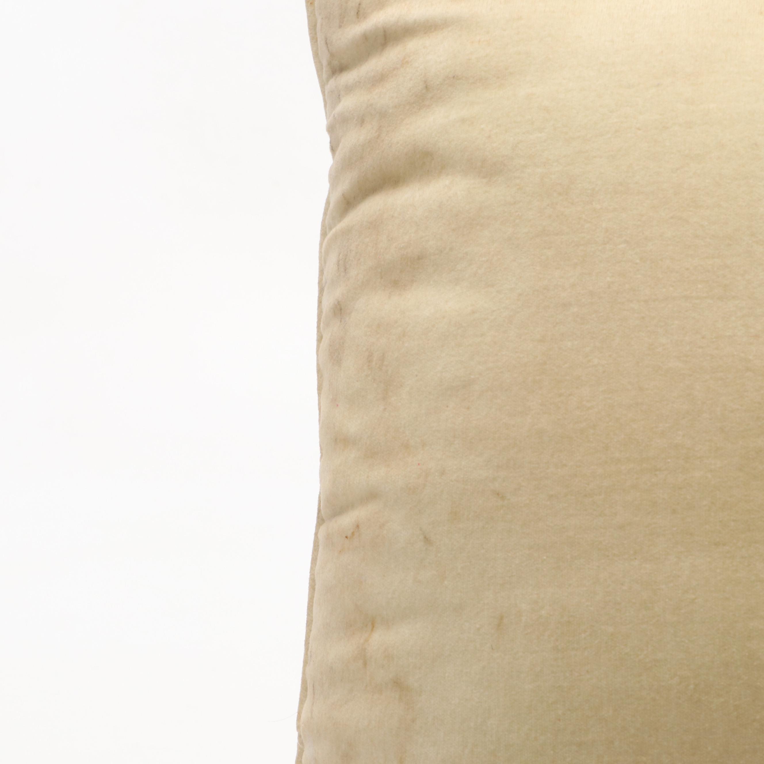 Botanical and Fruit Needlepoint Accent Pillows