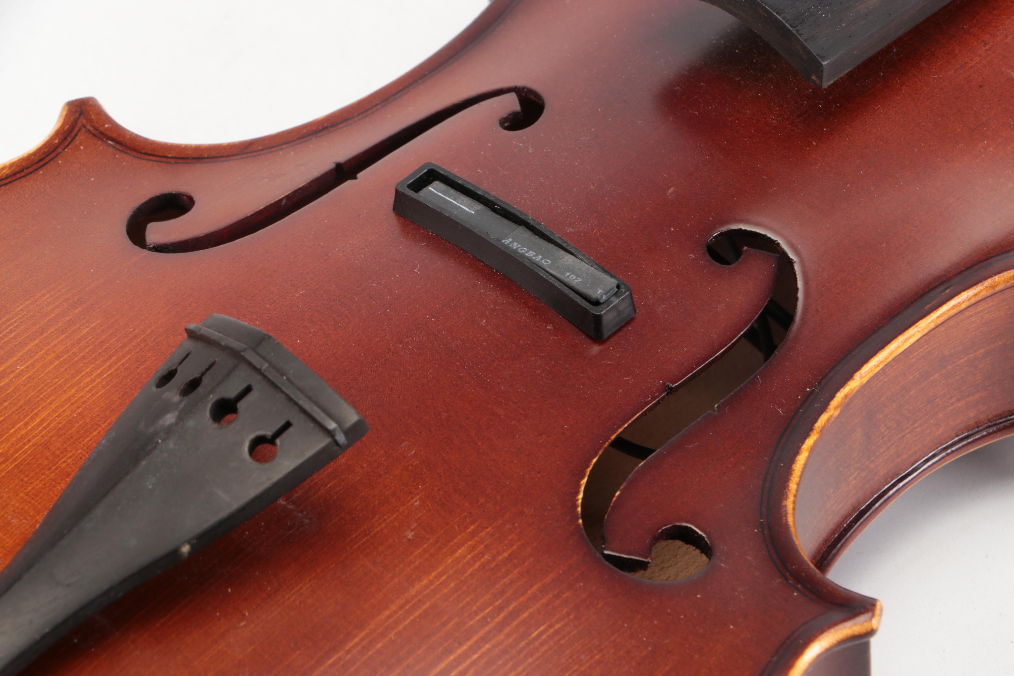 Rossetti Acoustic Electric Violin with Canvas and Velour Coffin Case